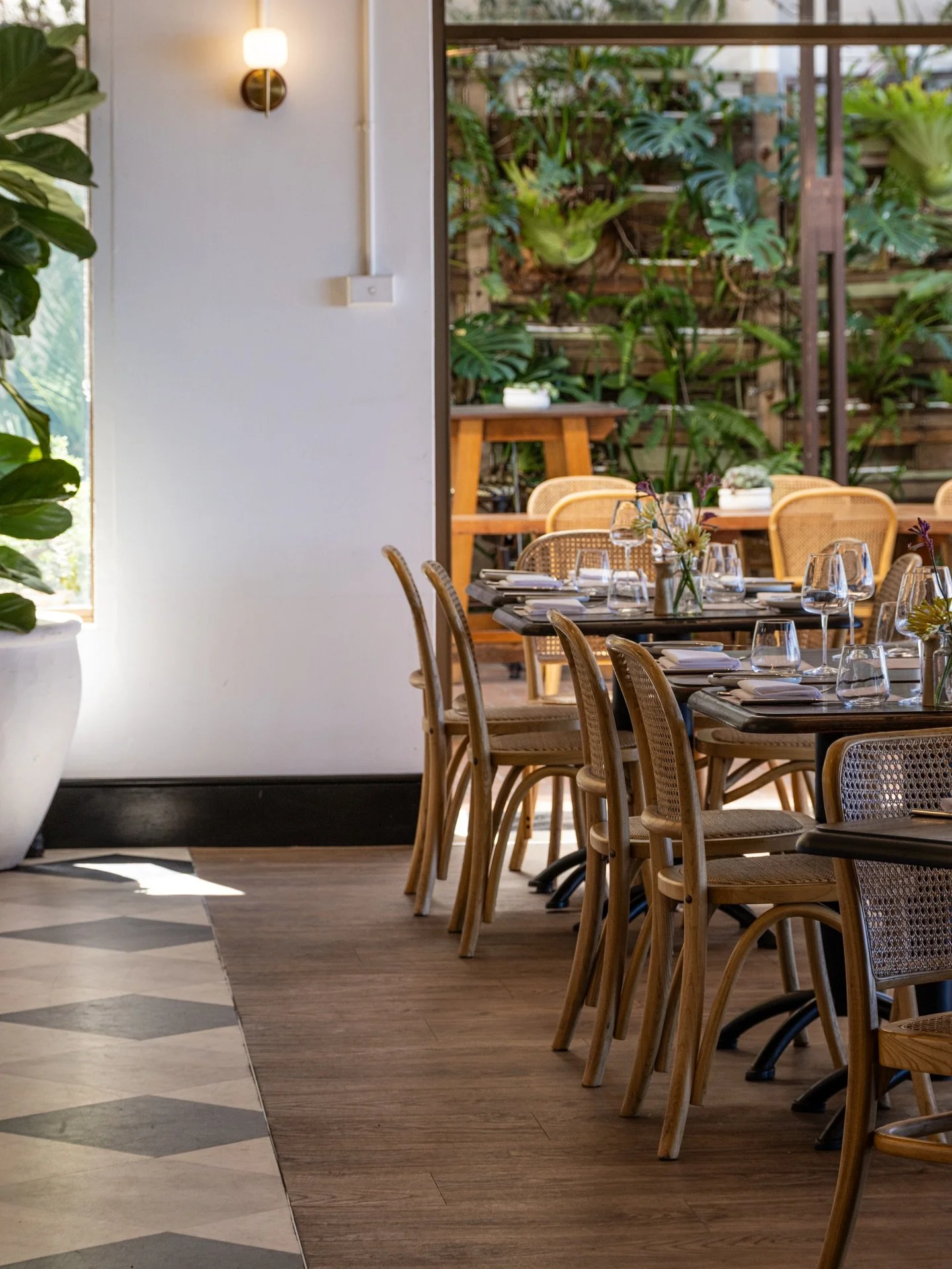 Beautiful beachside @bistromanly at the gorgeous new @manlypacificmgallery 

What a dreamy sunny spot right across from Manly Beach. 

📷 and lo fi iPhone video @kittigould