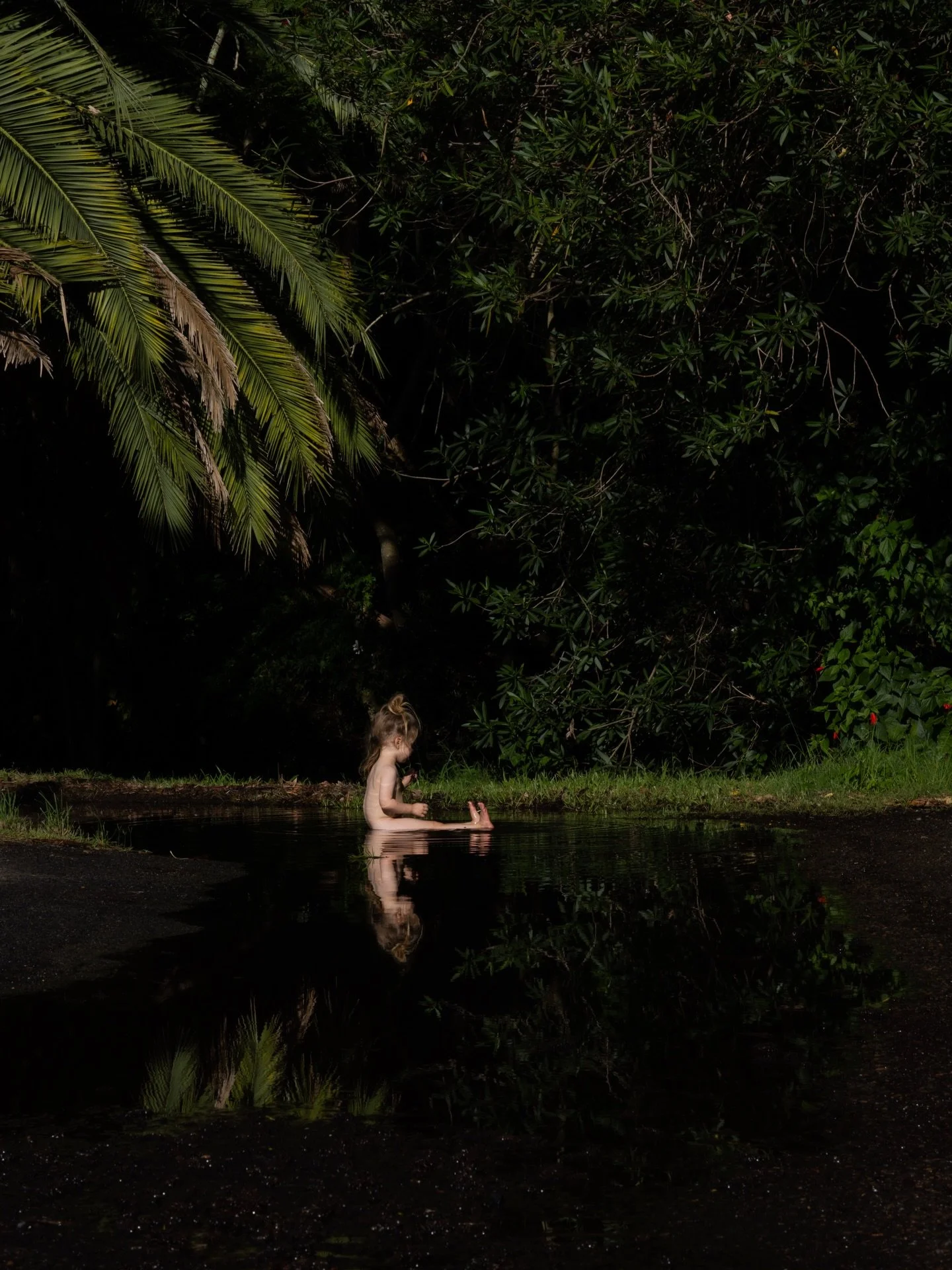 Happy 3rd birthday Rose Thatcher. May your curiosity and creativity stay with you for all your days. 

We love you, what fun to have 2 days to uniquely celebrate you and Ginger. 

🖤🖤🖤