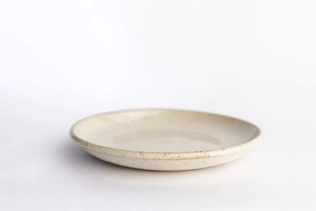 dinner plate neutral plate chef plate speckled plate 10" plate standard plate