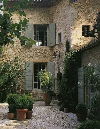 potted plants inspo 3.jpeg
