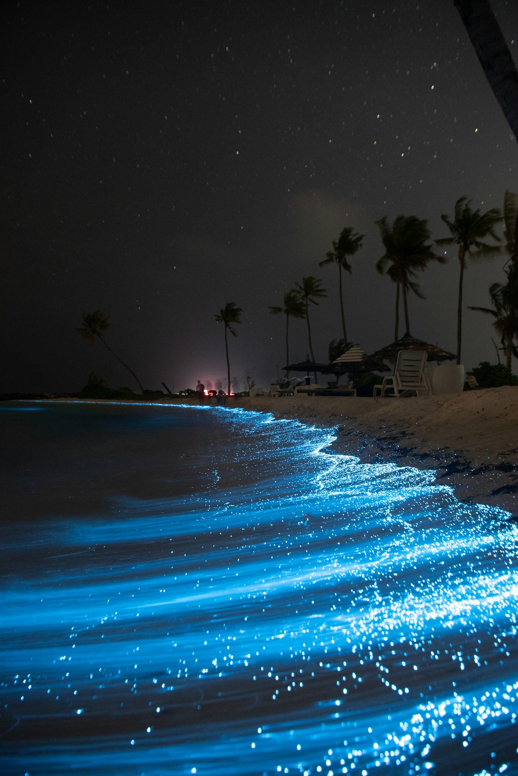 bioluminescence or Mareel, to represent sex therapy in Vancouver and the brightness that can be found with it