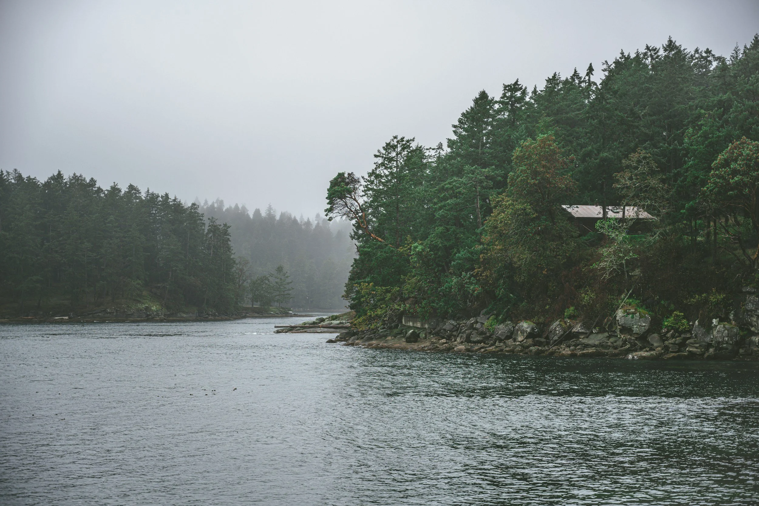 The oceanfront in British Columbia, where Mareel offers sex therapy in Vancouver
