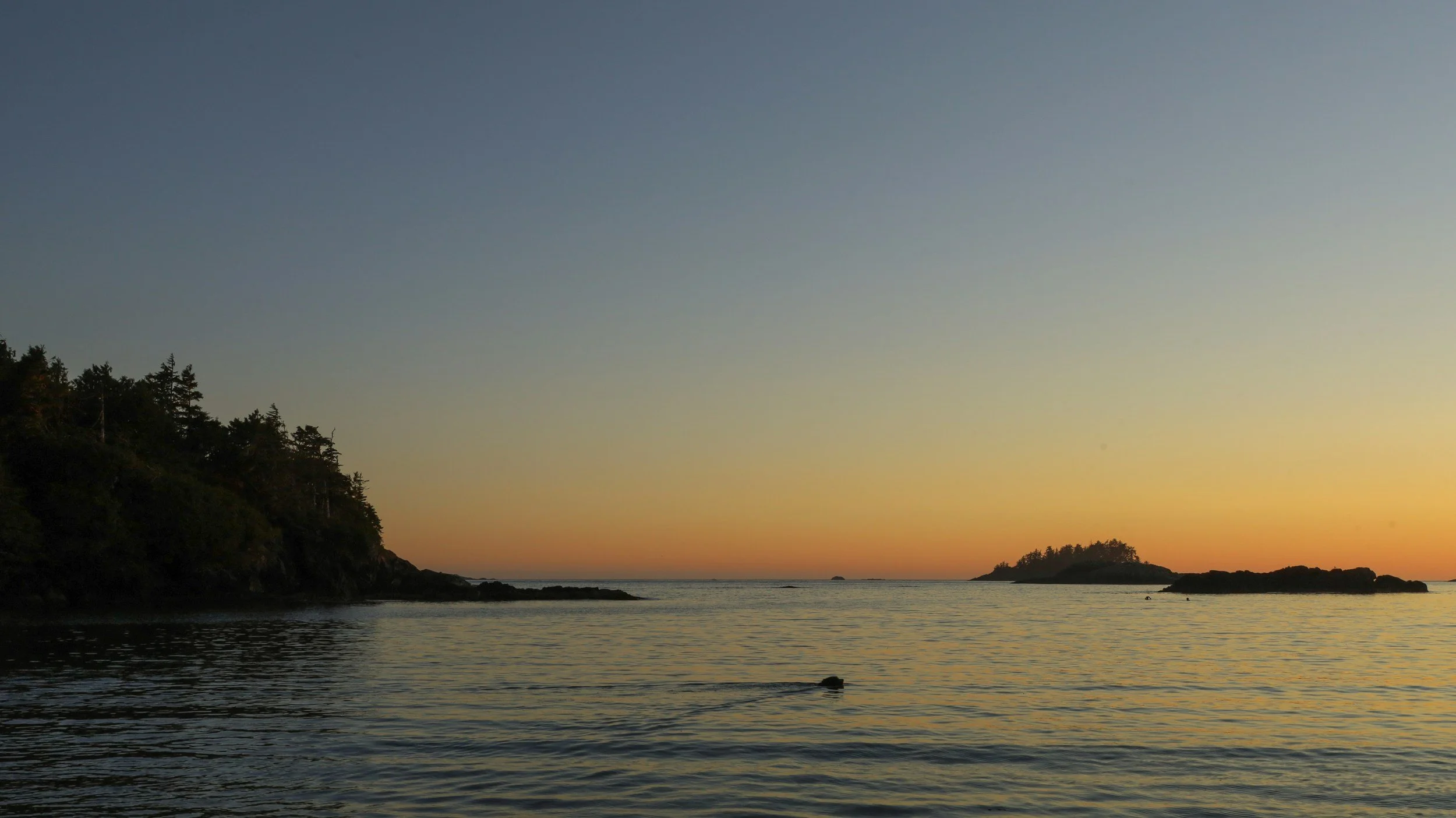 The oceanfront in British Columbia, where Mareel offers sex therapy in Vancouver