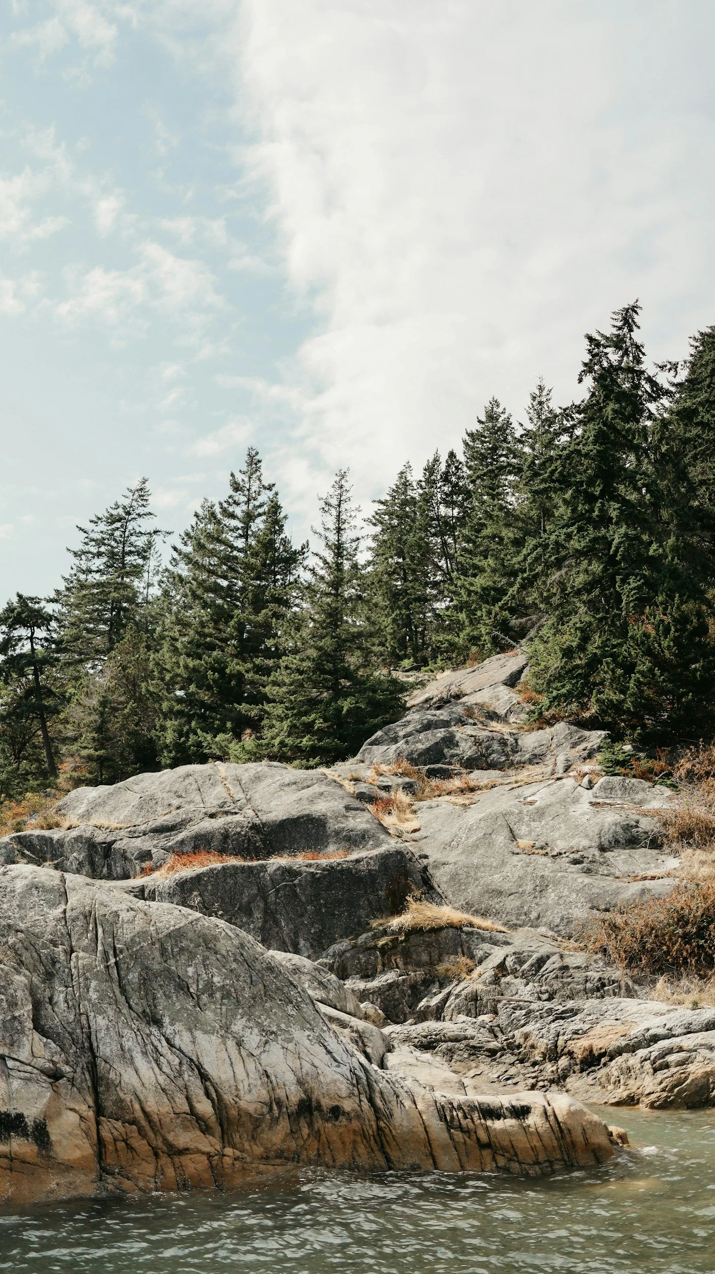 The forest and rockfaces in BC