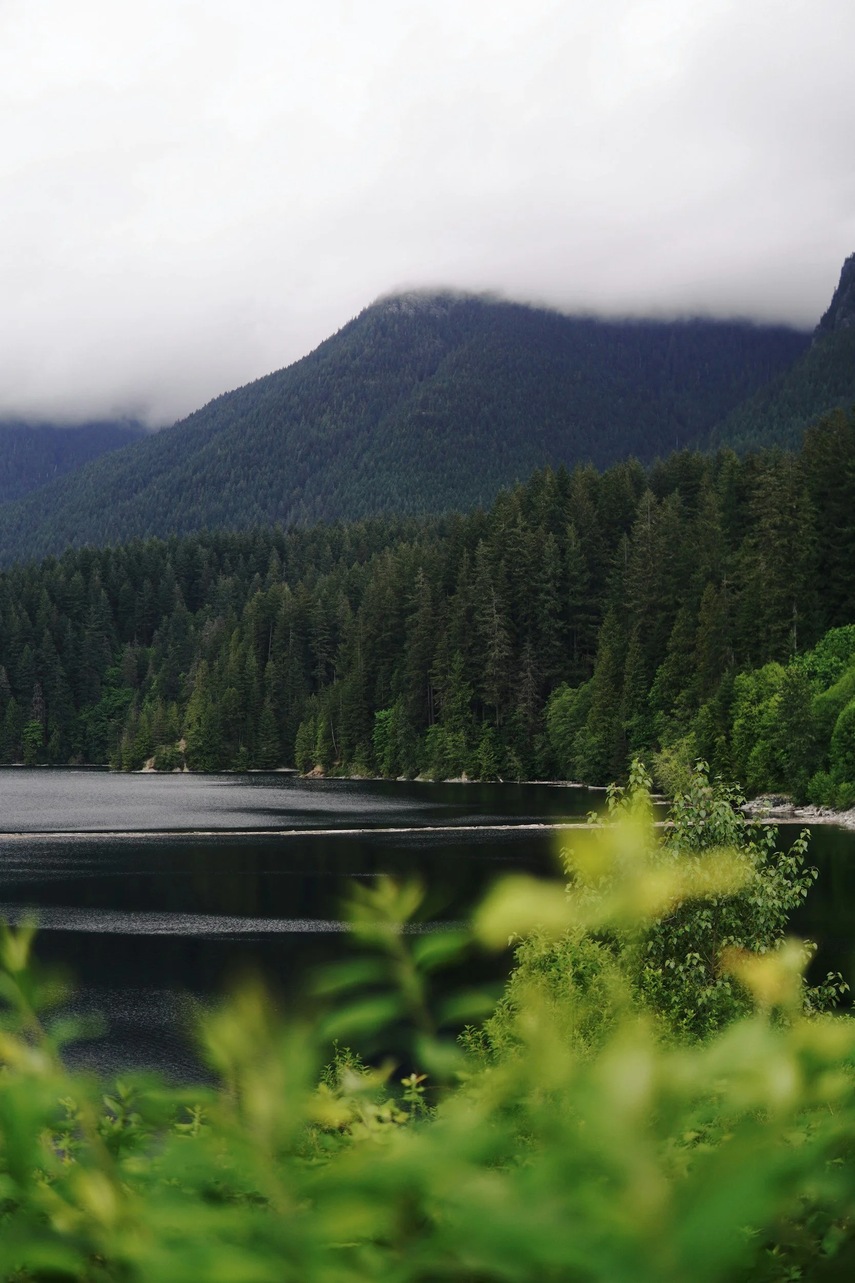 The oceanfront in British Columbia, where Mareel offers sex therapy in Vancouver