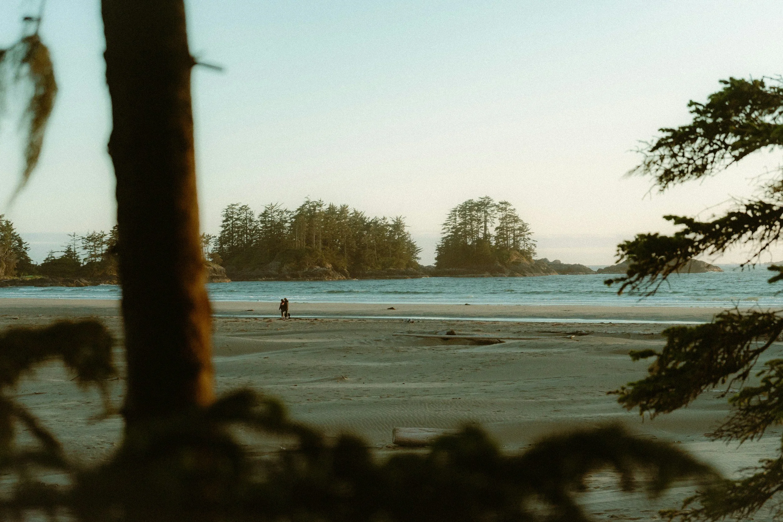 a couple holding hands on a beach in vancouver BC