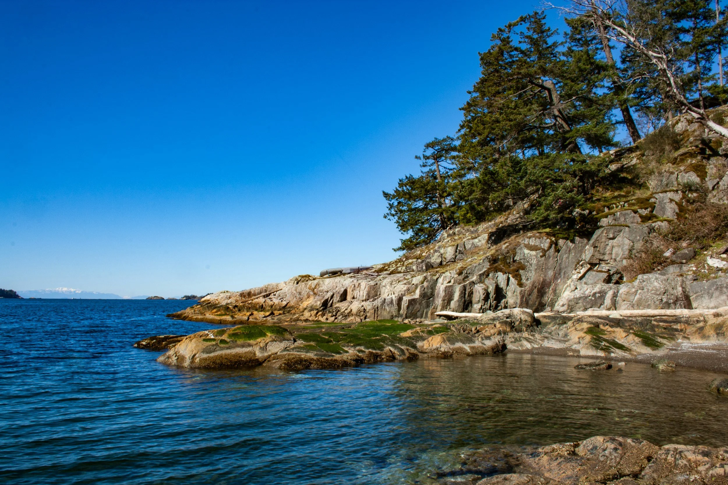 A beach in Vancouver, BC