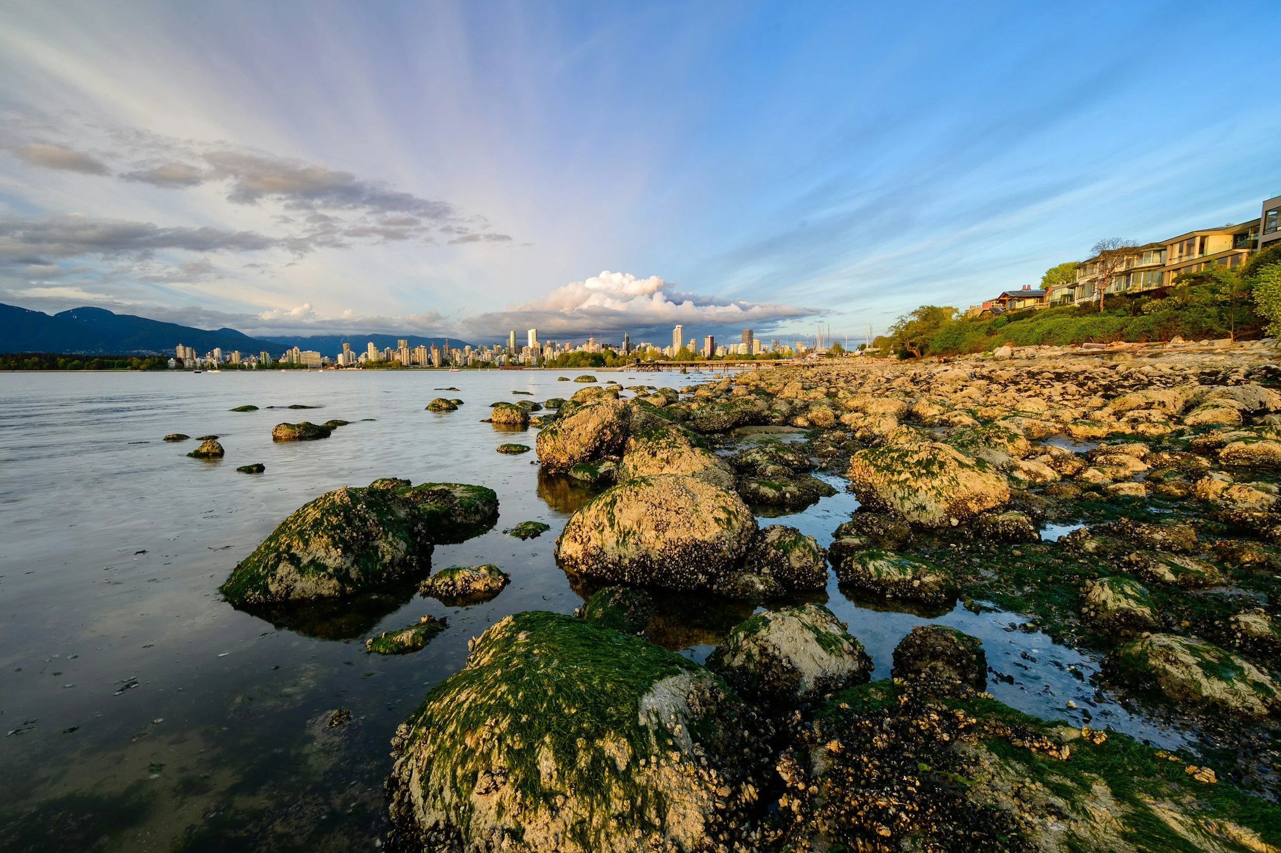 rocks at the beach in BC