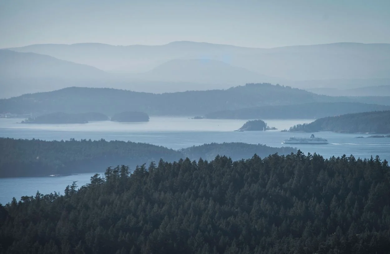 Landscape of a mountainous region with multiple layers of forested hills and islands in the water, with a large cruise ship sailing through the water. Setting is BC where we do relationship therapy and sex therapy