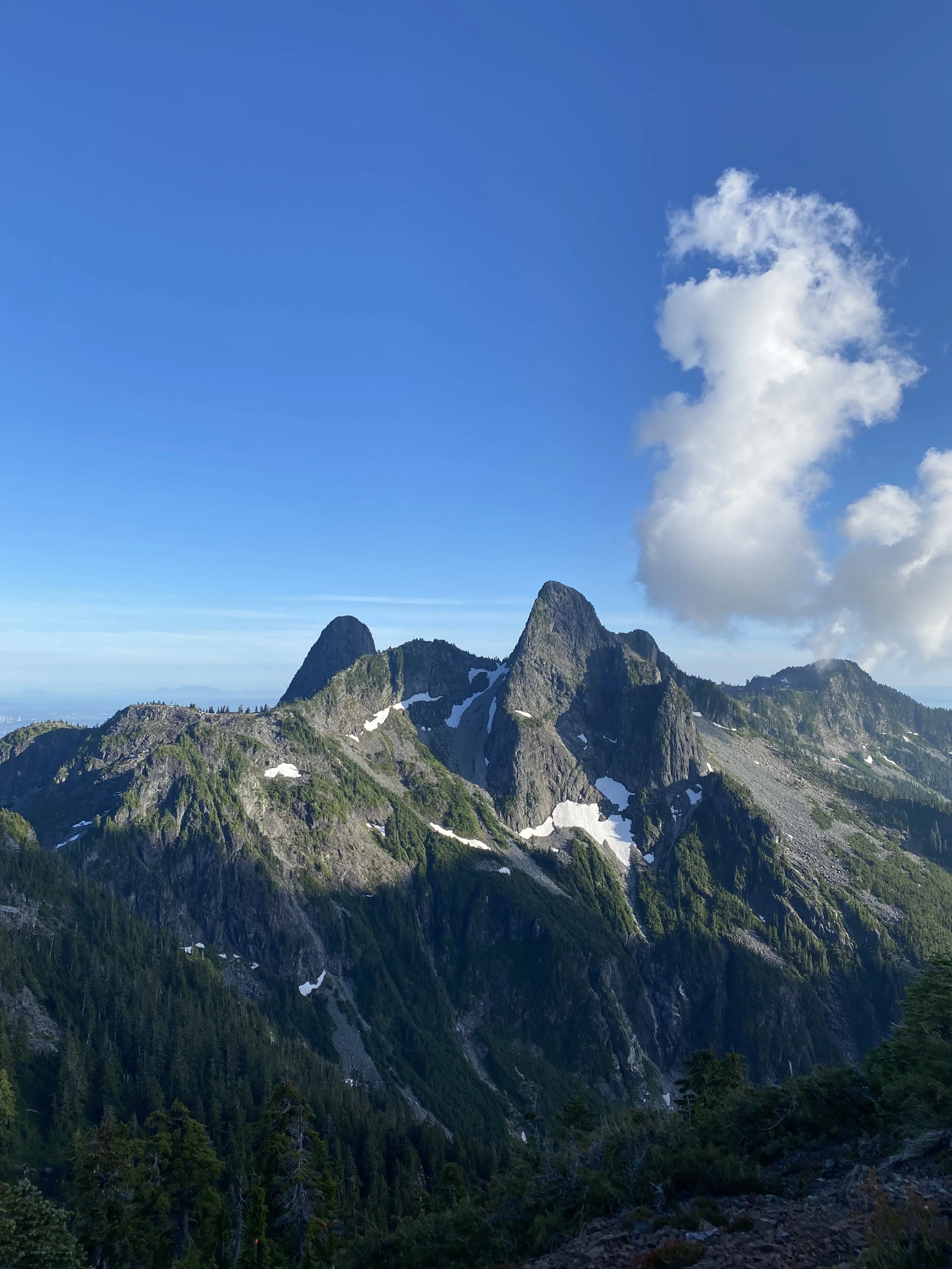 Scenic view of rugged mountain peaks with patches of snow, lush green forests, and a partly cloudy sky.