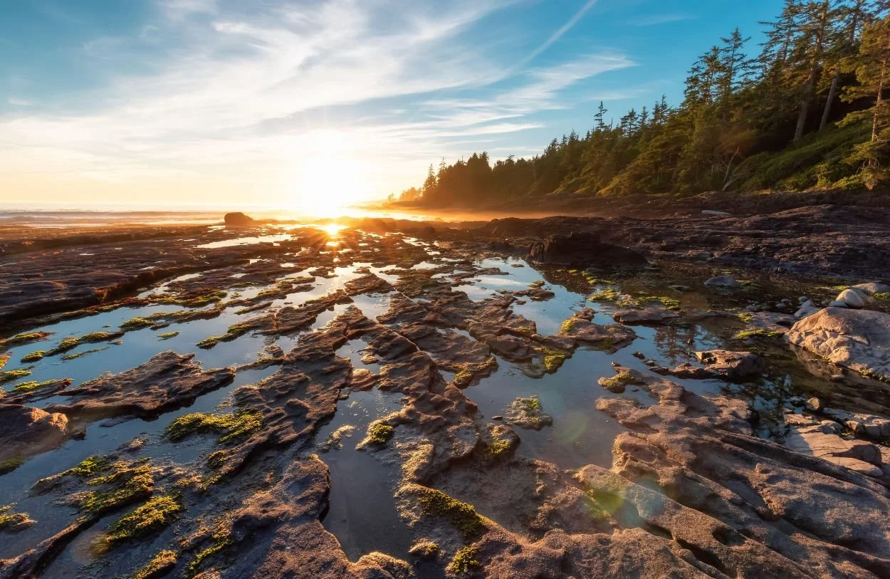 Sunset over a rocky beach with tide pools and a forested coastline in the background and the coast of BC where we do relationship and sex therapy