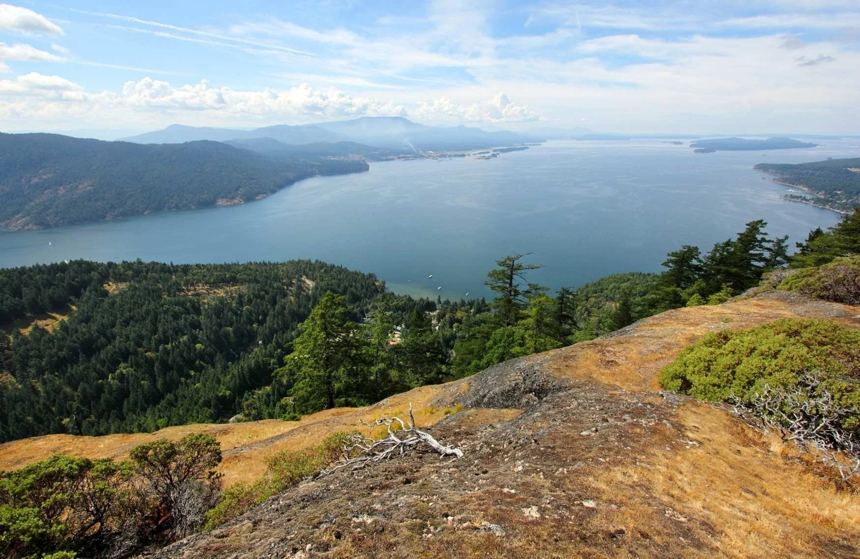 A scenic view of a large body of water surrounded by lush green forests and distant mountains under a partly cloudy sky. Setting is BC where we do relationship therapy and sex therapy