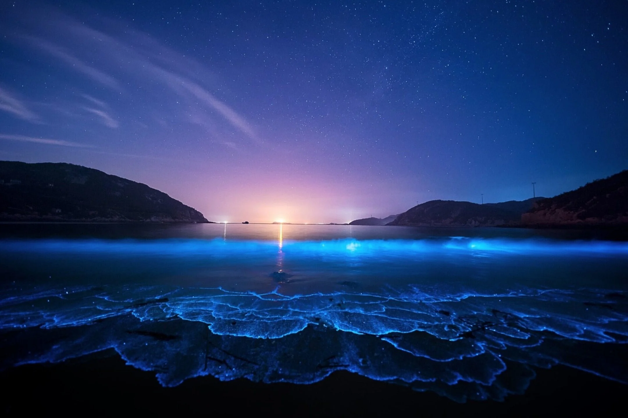 bioluminescence in the ocean