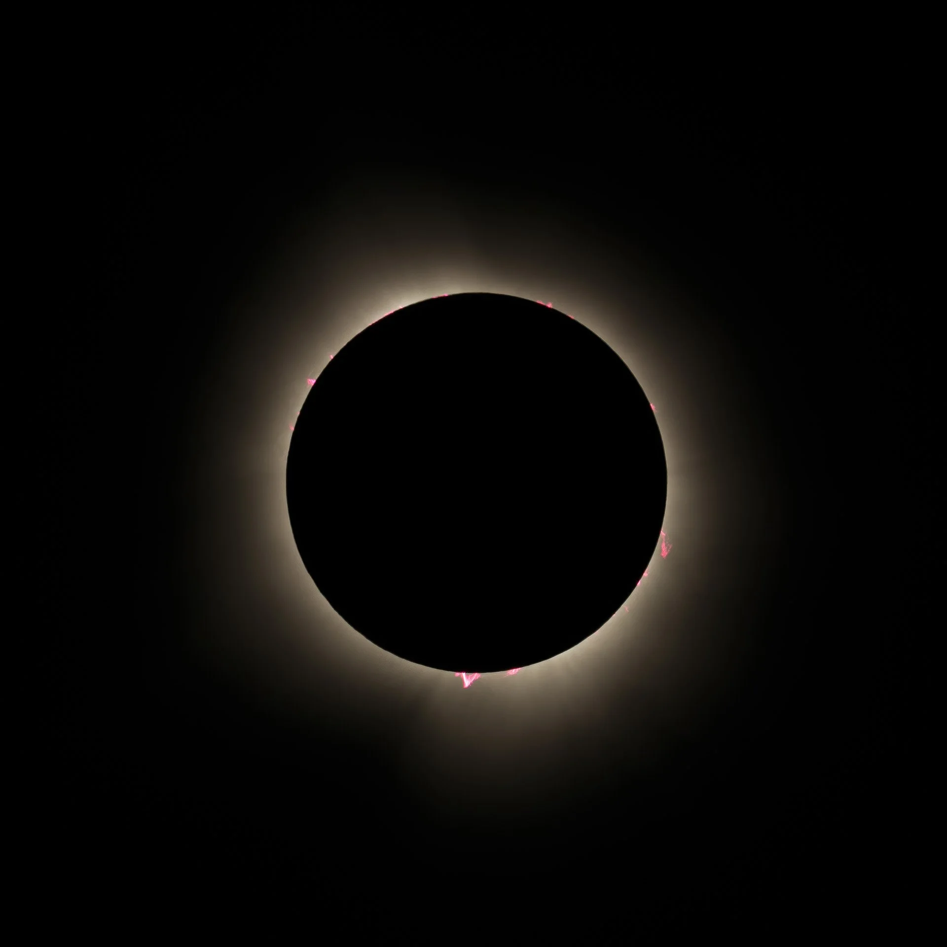 Prominences during totality
