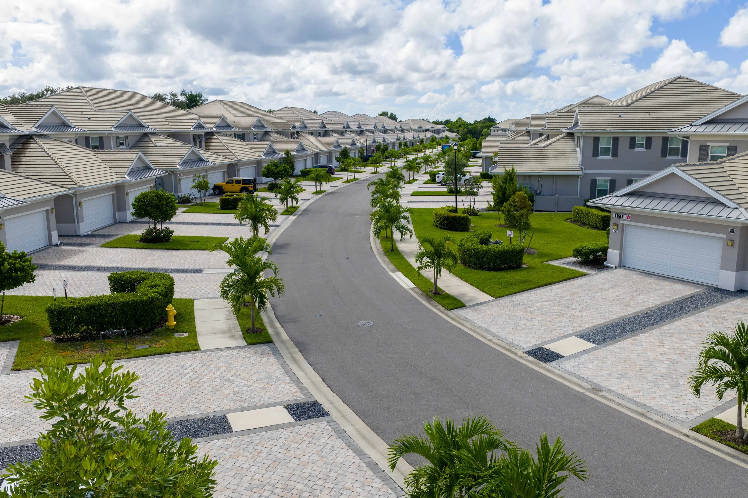 Antilles Common-1.jpg