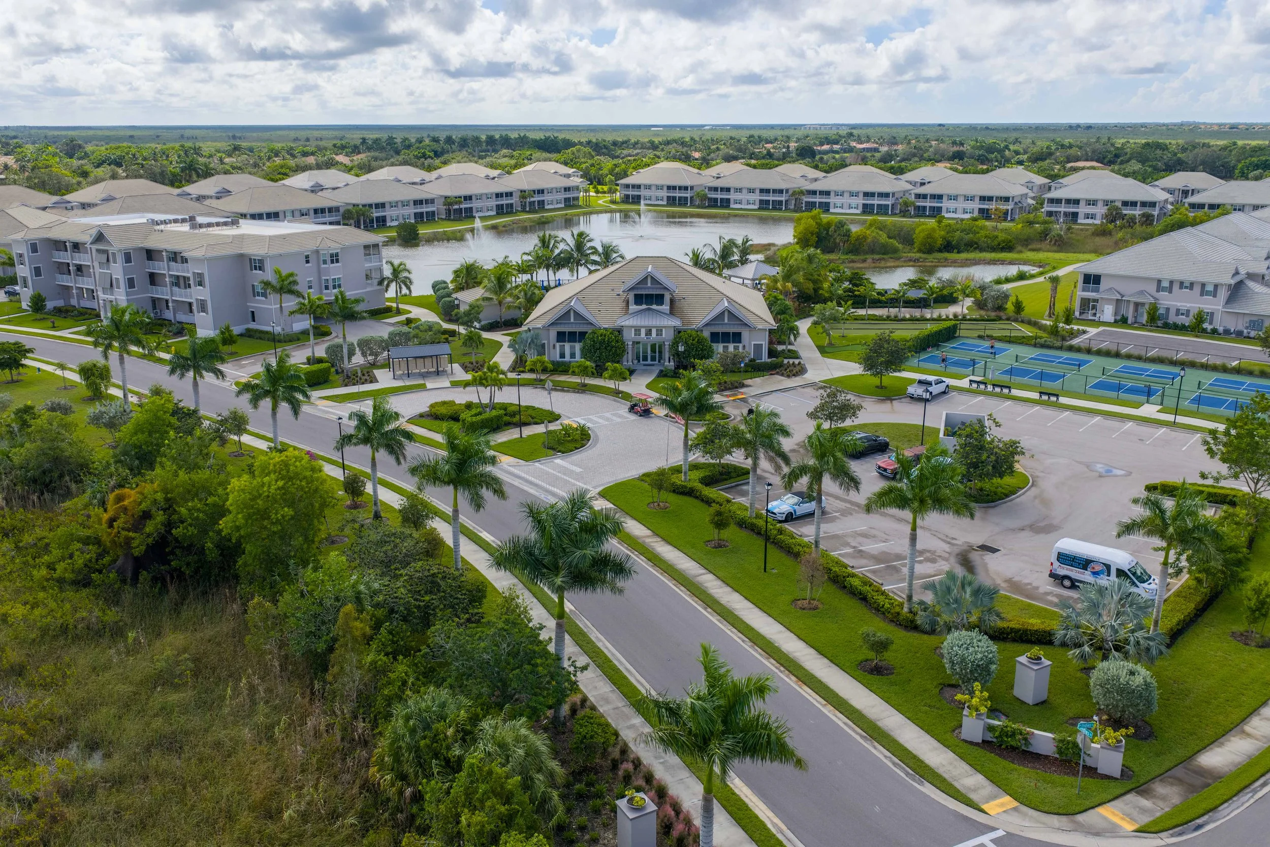 Antilles Common-2.jpg