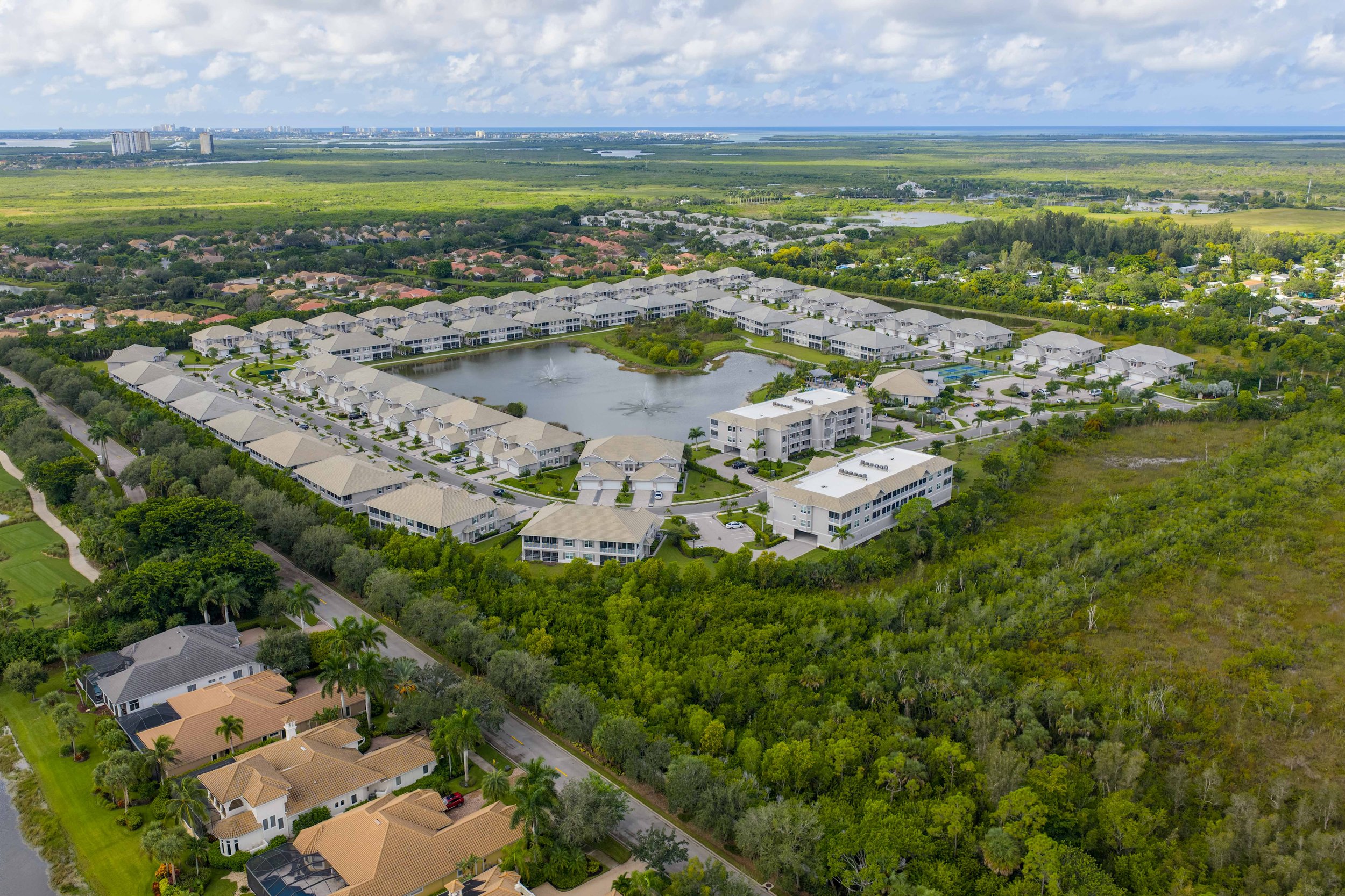 Antilles Common-3.jpg