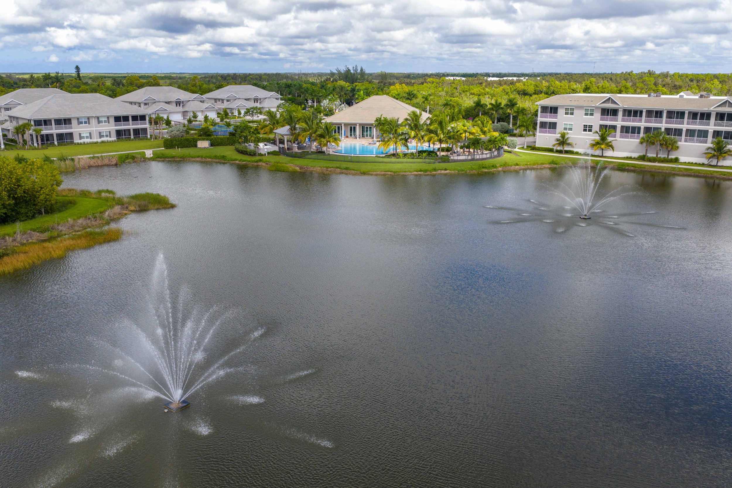 Antilles Common-4.jpg