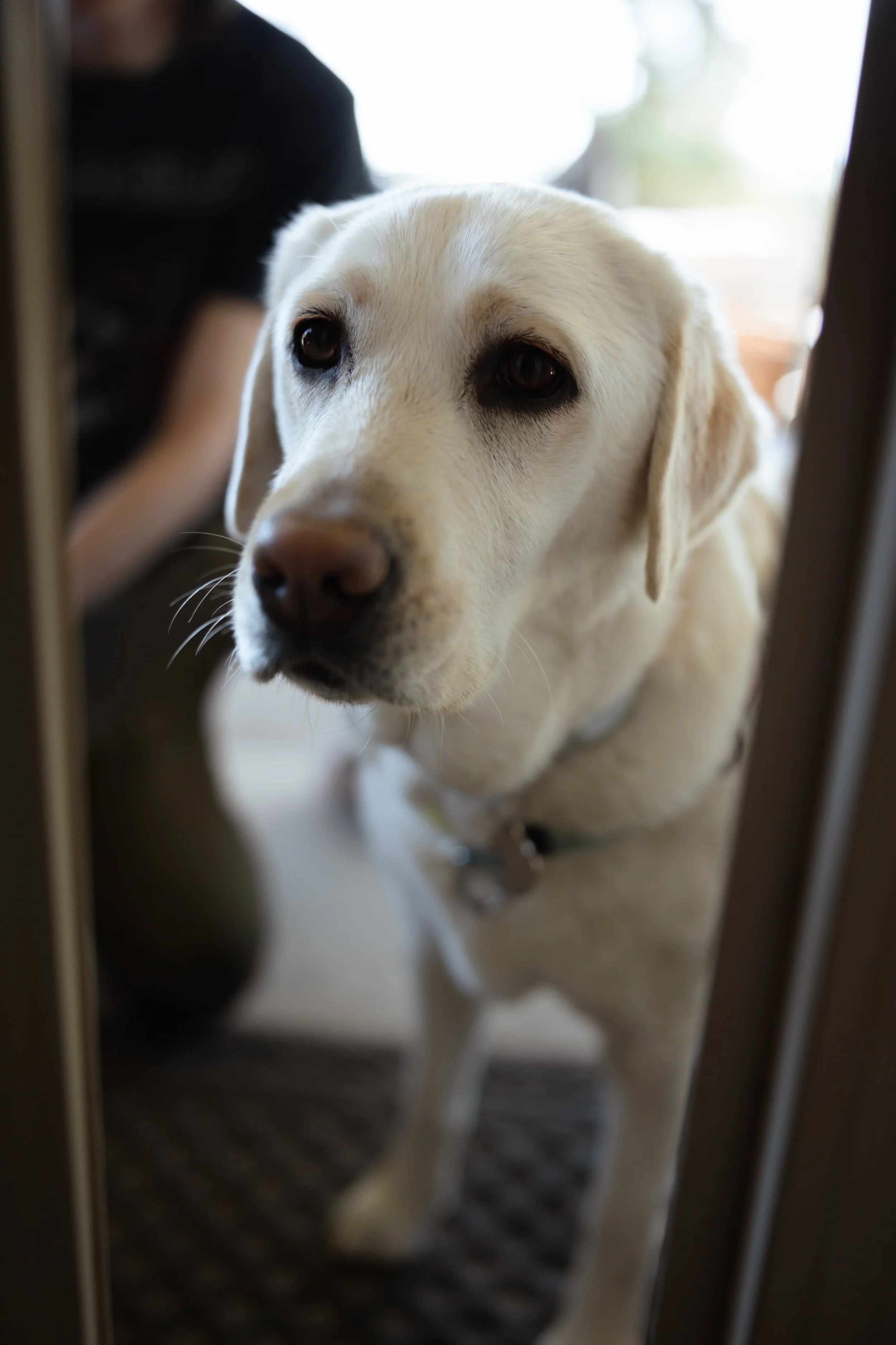 Roseanne + Jordan-15.jpg