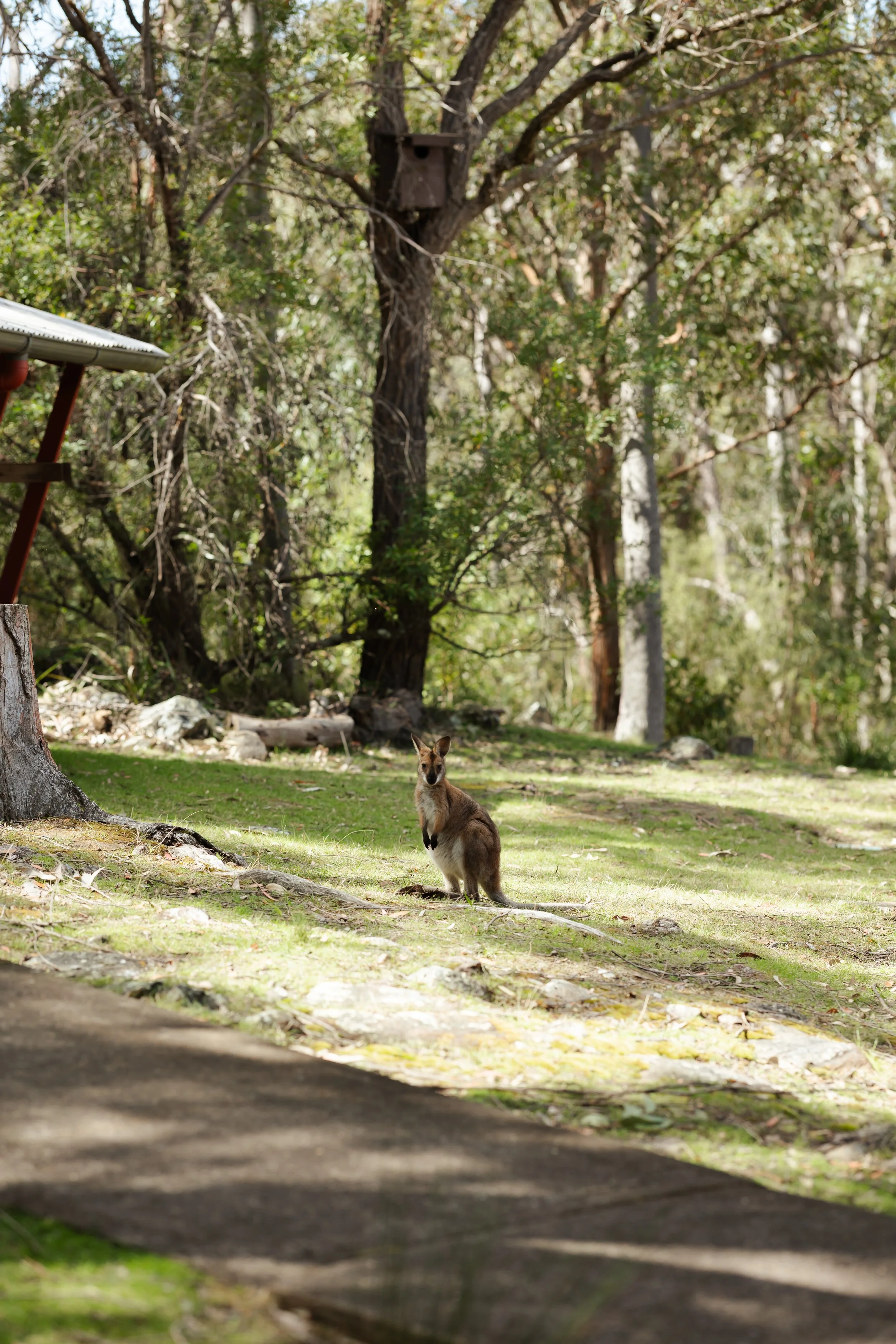 Roseanne + Jordan-140.jpg