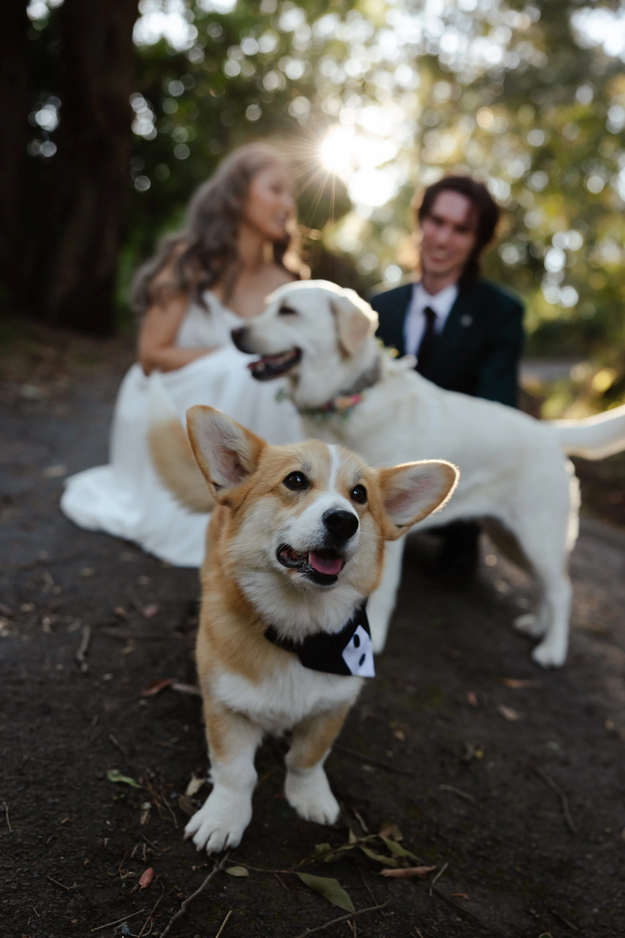 Roseanne + Jordan-790.jpg