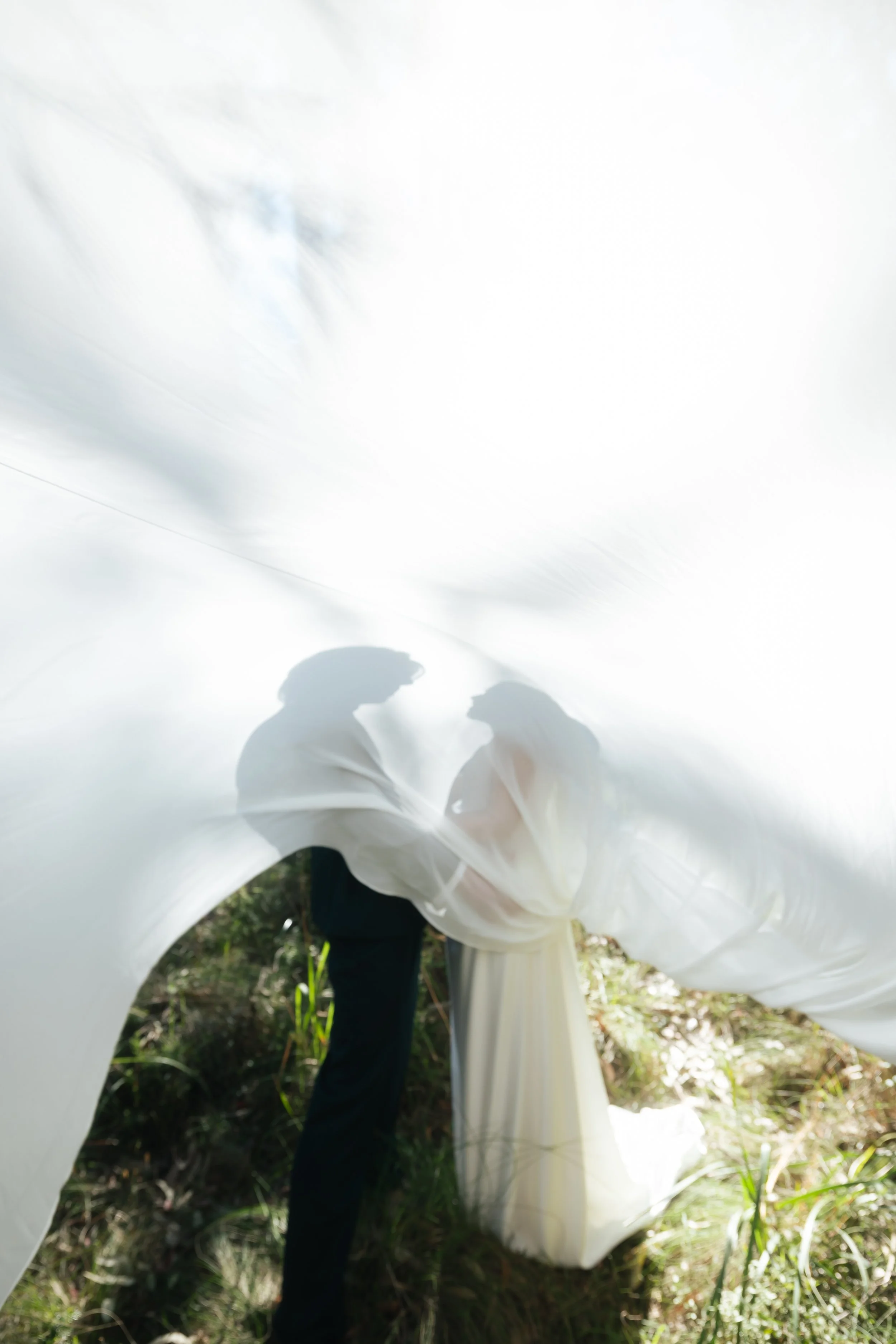 silhouette photo of couple kissing through veil 