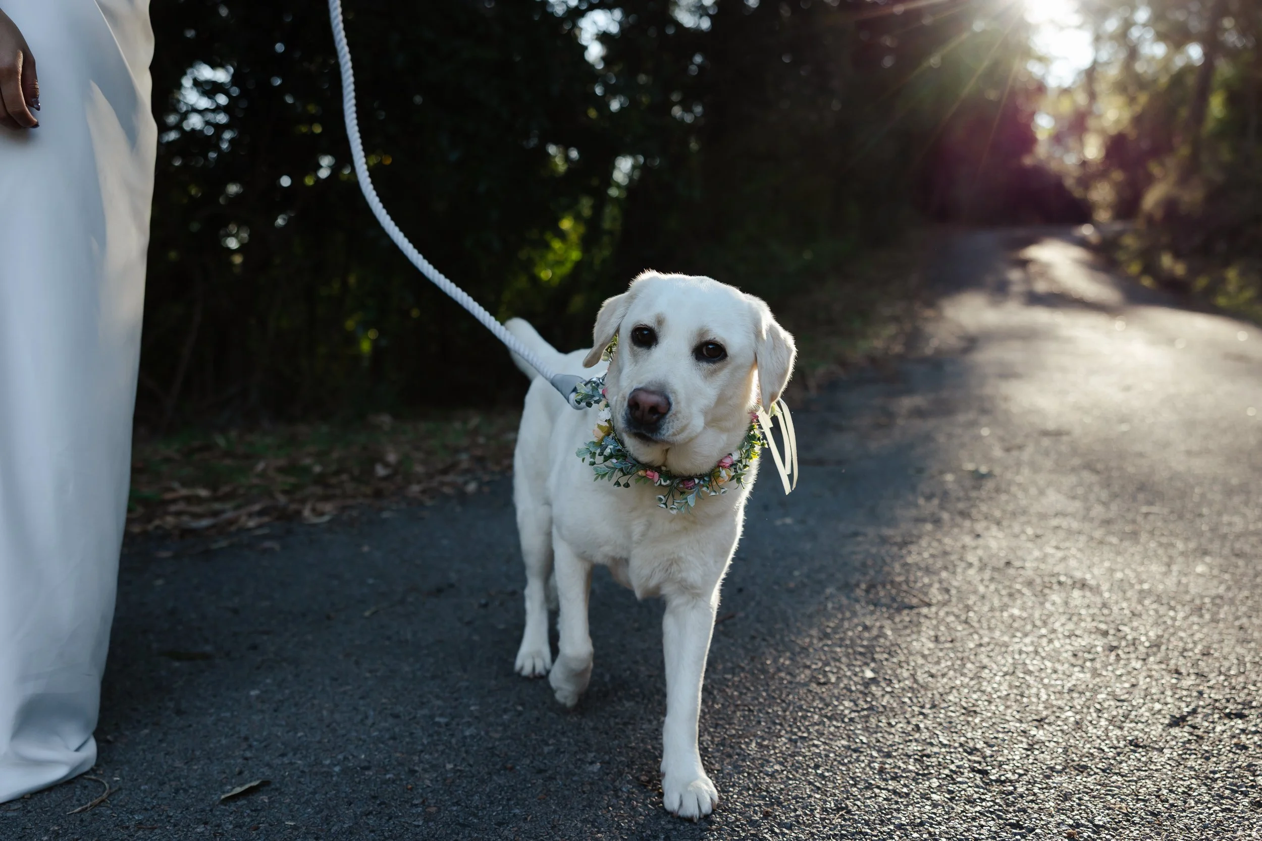 Roseanne + Jordan-786.jpg