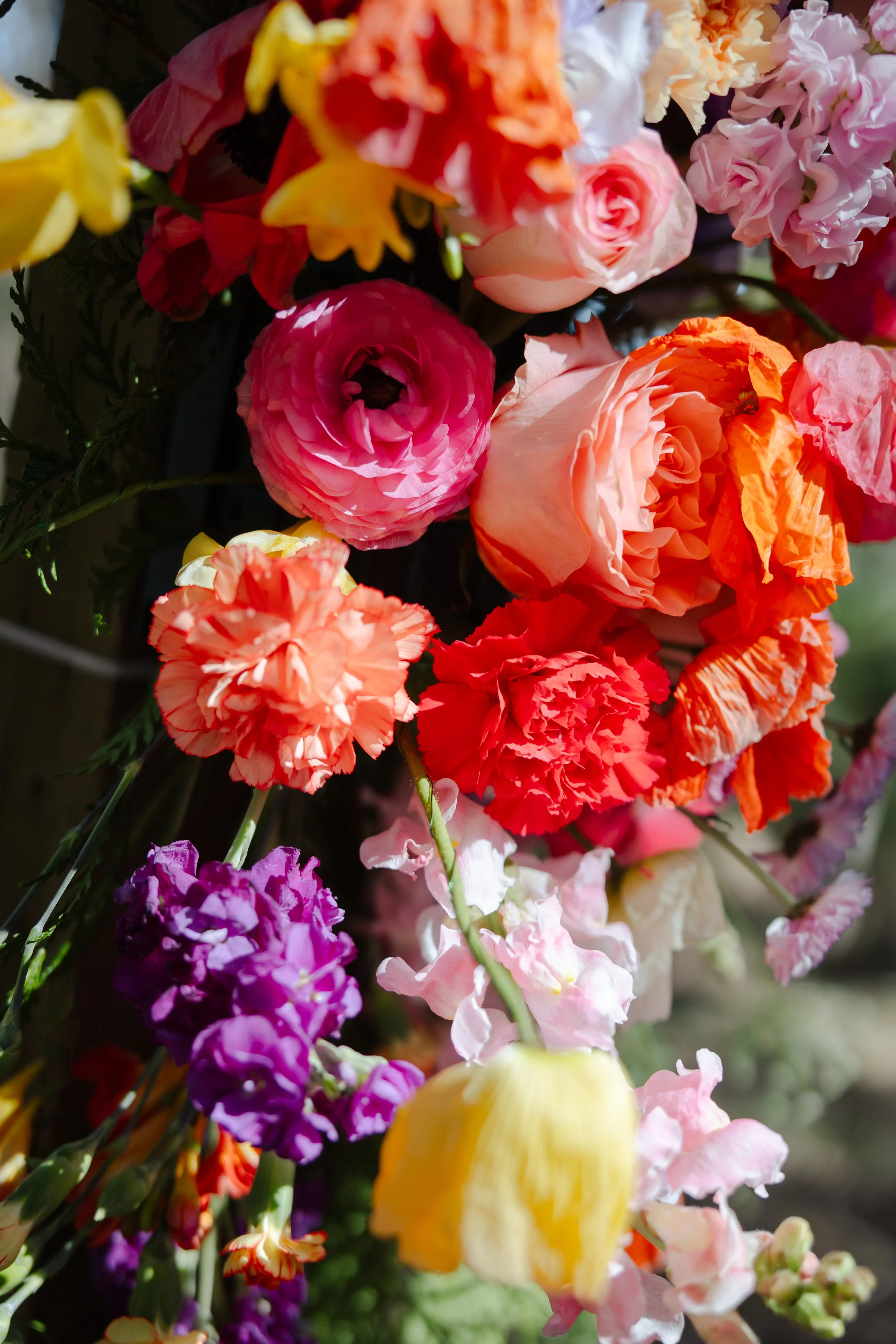 Roseanne + Jordan-353.jpg