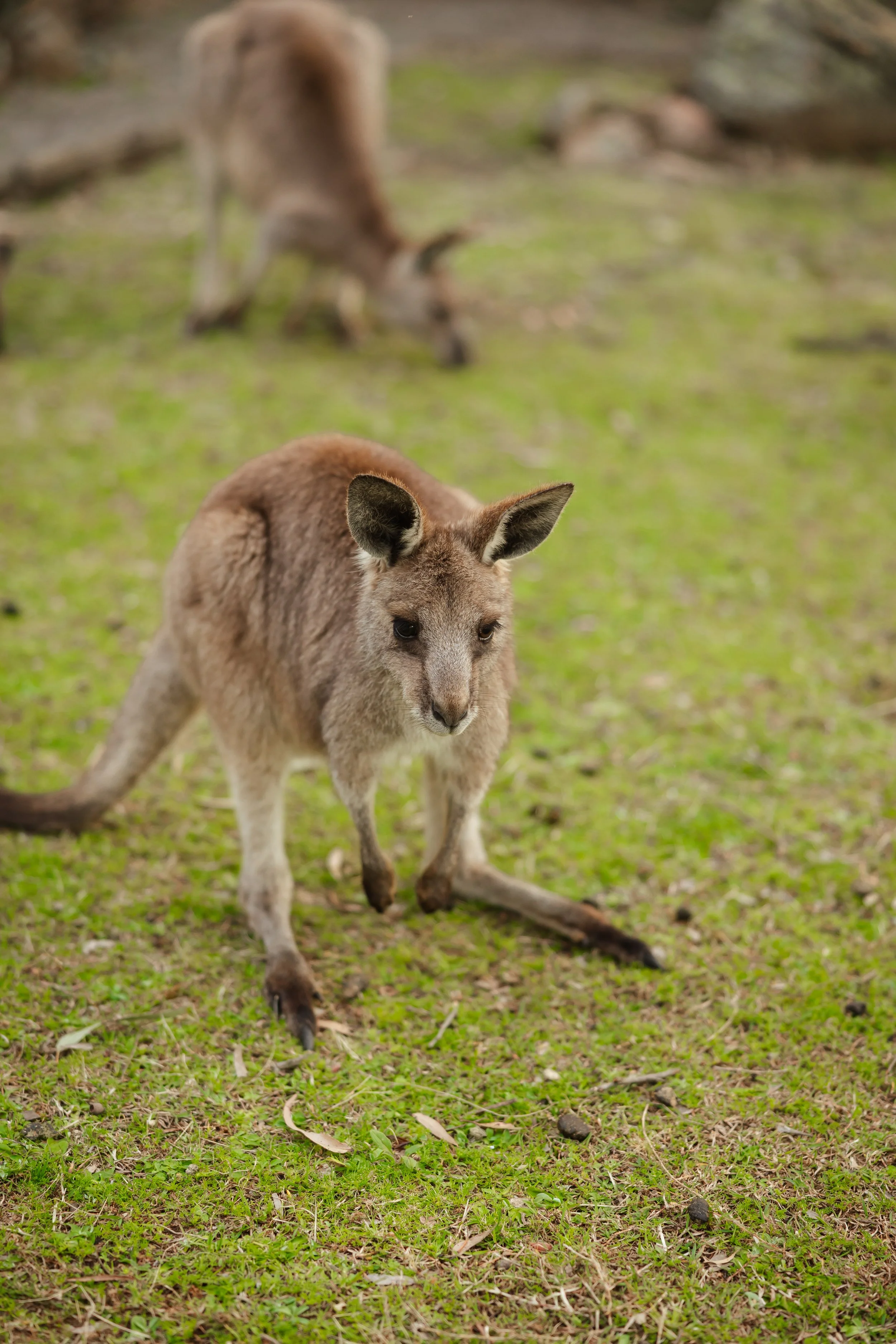 Roseanne + Jordan-875.jpg