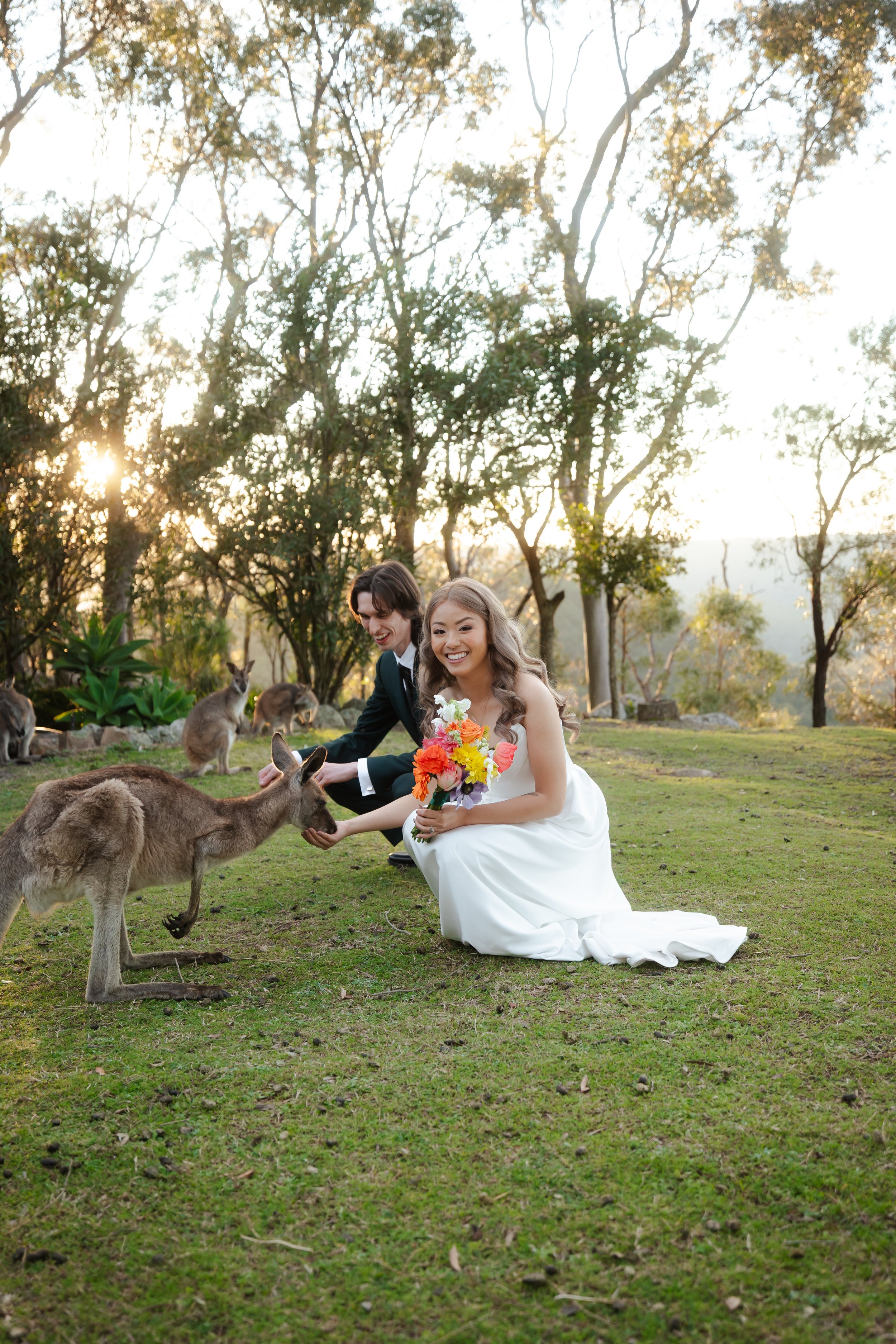 wedding day photos feeding kangaroos