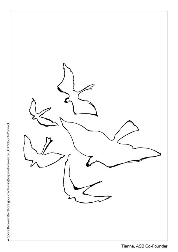 ASB_Tianna_Birds.jpg
