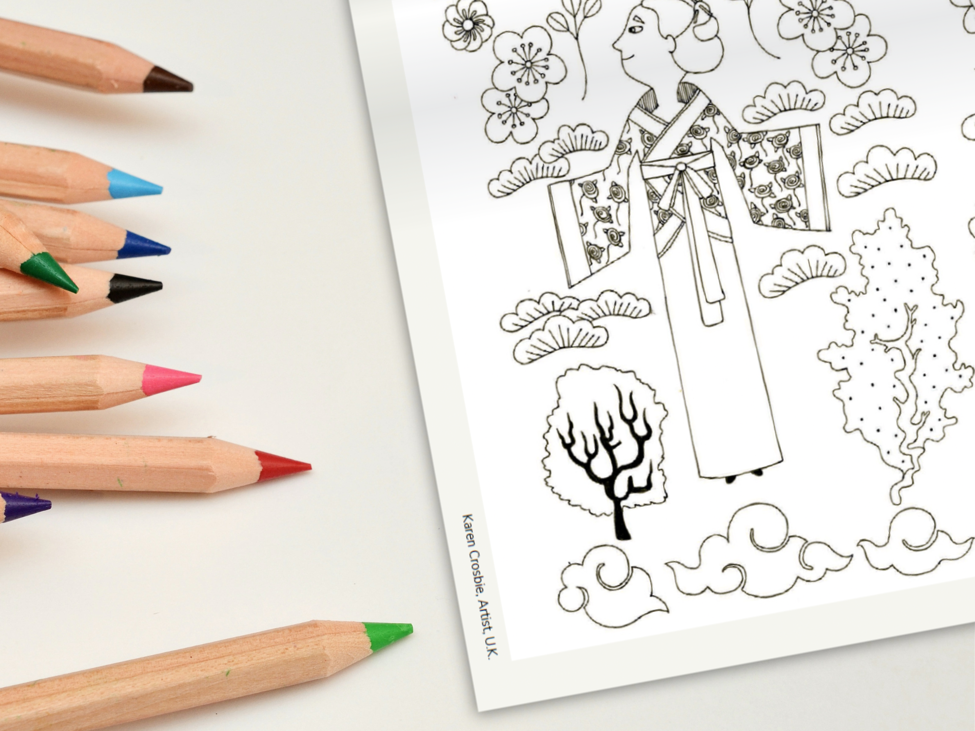 Activity book - colouring sheet detail.png