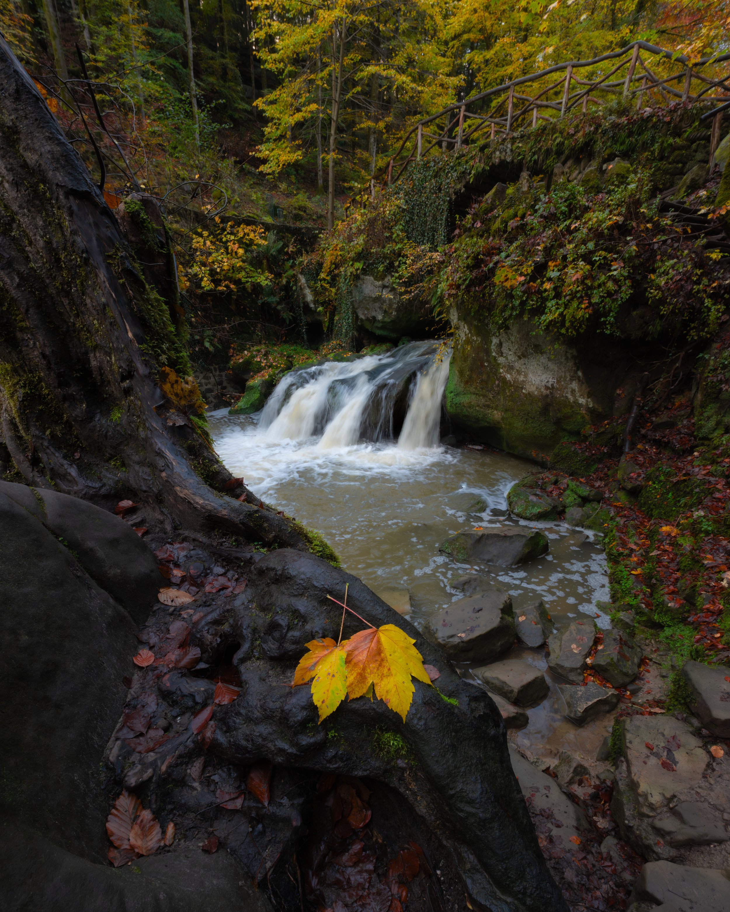 Mullerthal_26-10-2025_13.jpg