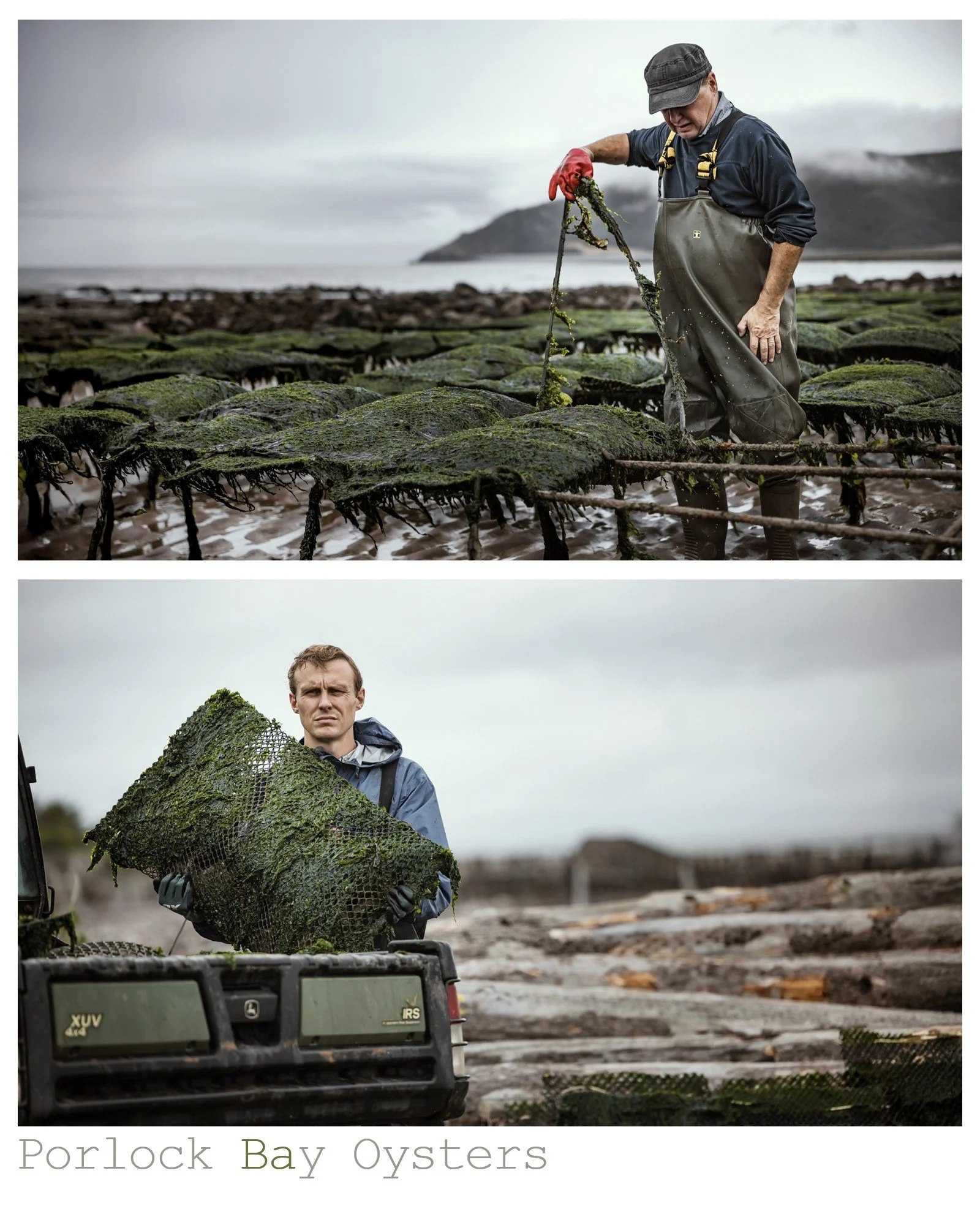 Hard graft on the #Exmoor coast.
#porlockbayoysters Oysters are grown with care and harvested by hand, whatever the weather. Here's a glimpse into the people and processes behind one of the UK&rsquo;s most respected oyster farms.
Minimal intervention