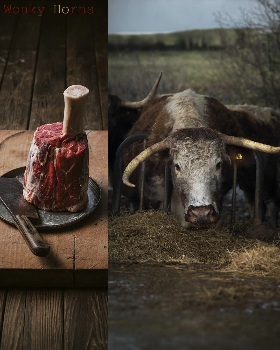 From the rugged fields of Somerset to the artisan butcher&rsquo;s block. 🌿🥩
.
I loved capturing the provenance behind @wonky_horn for this shoot; these heritage Longhorns represent the very best of British farming. They are slow-grown, ethically ra