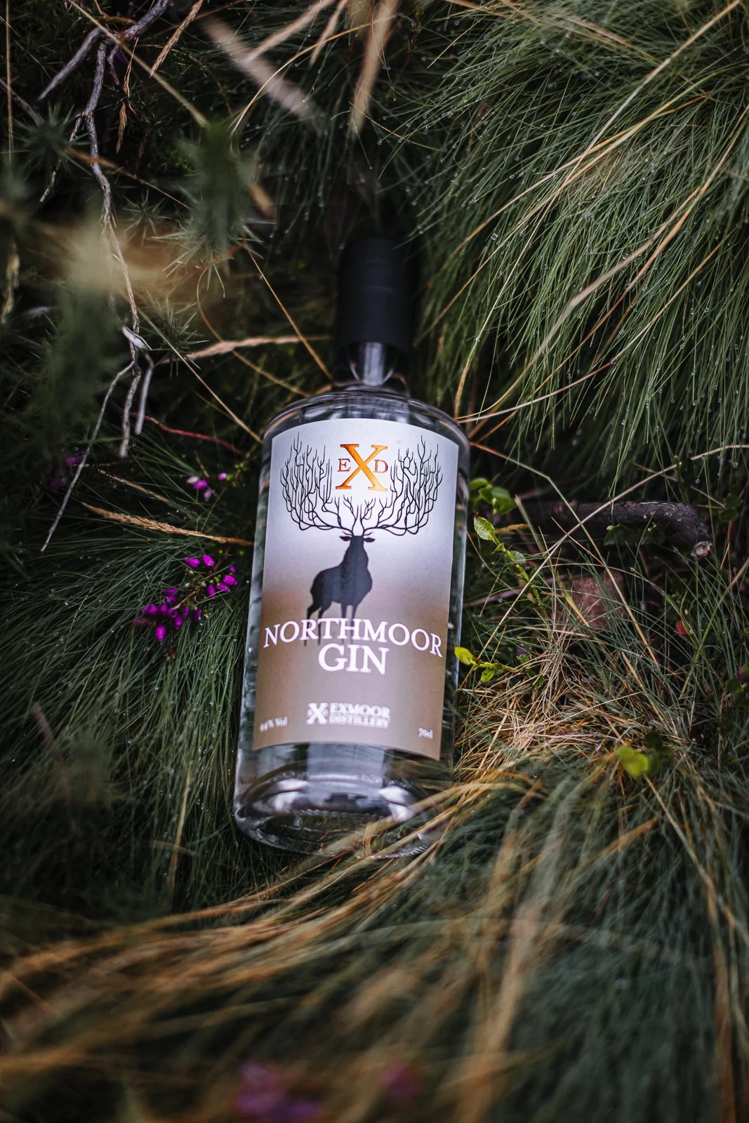 Commercial location photograph of a Northmoor Gin bottle resting among long grasses and small wild flowers, using natural surroundings and shallow focus to connect the product with its Exmoor identity.