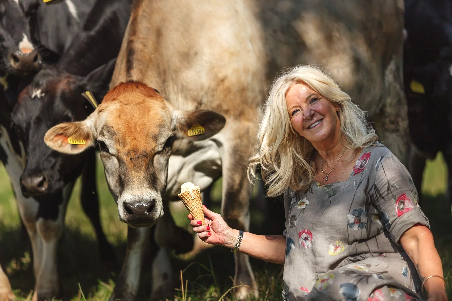 Environmental editorial portrait of a smiling woman standing beside a cow in a field, using the animal and rural setting to show her connection with farming, food production or animal welfare for Granny Gothards  Devon feature.