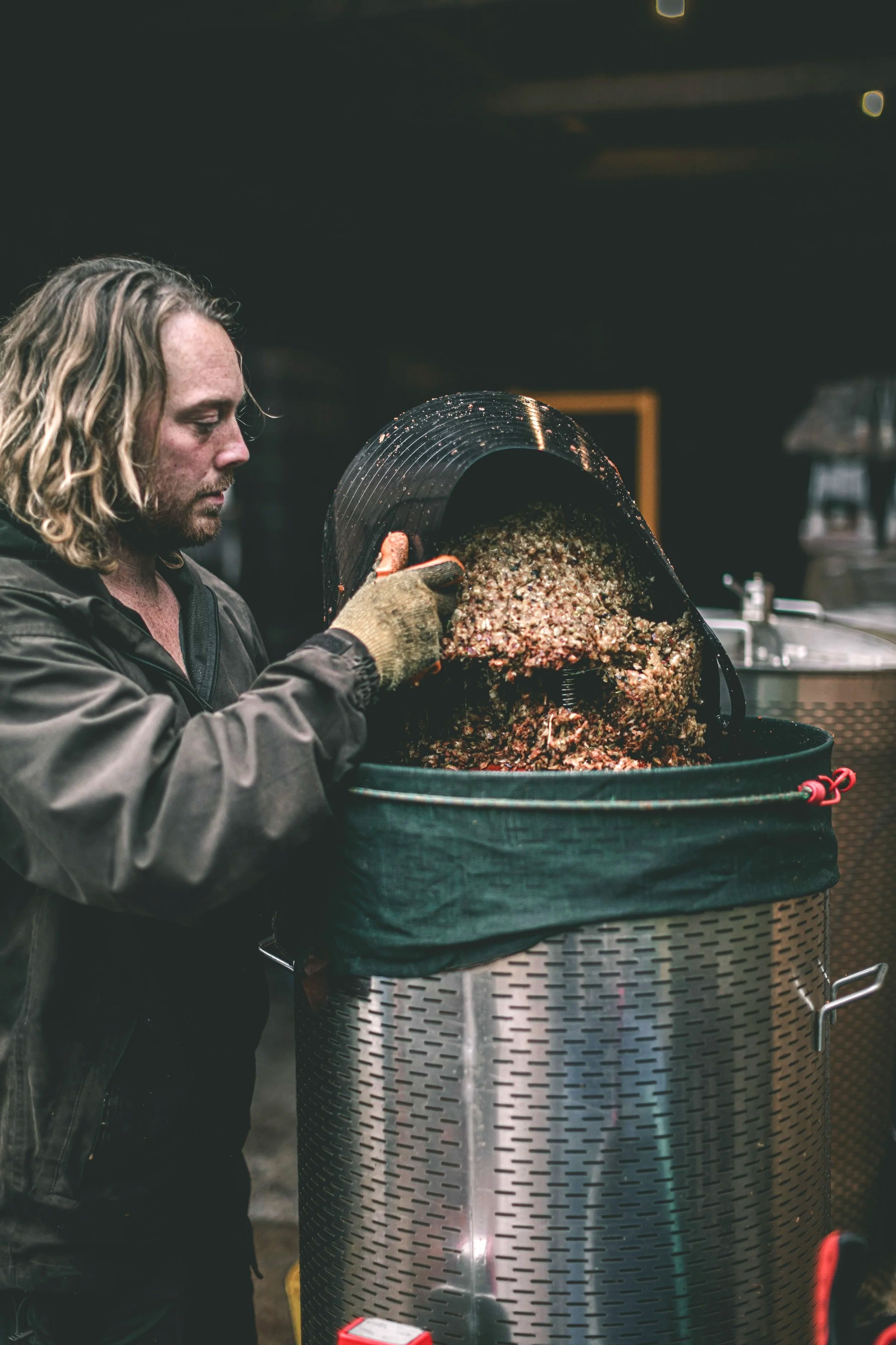 Environmental distillery photograph of a producer emptying mashed apples into stainless-steel processing press, documenting the raw ingredients and practical work involved in producing cider for Sheppy cider Taunton Somerset.