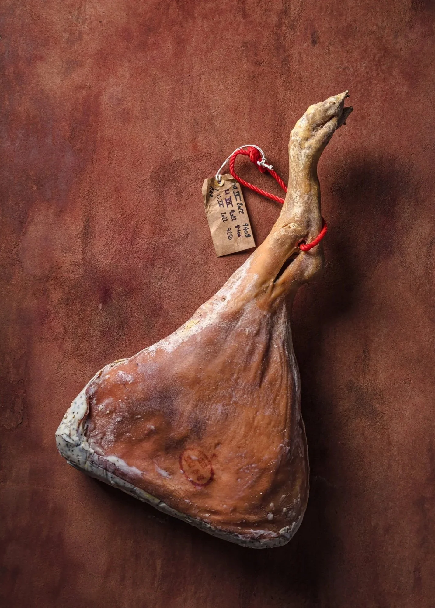 Studio-style food photograph of a hanging cured ham secured with red cord against a warm textured background, highlighting the product’s form, surface detail and traditional presentation.