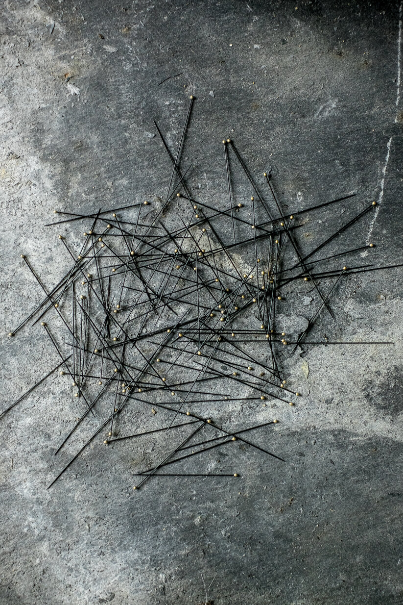 entomology pins 2.jpg