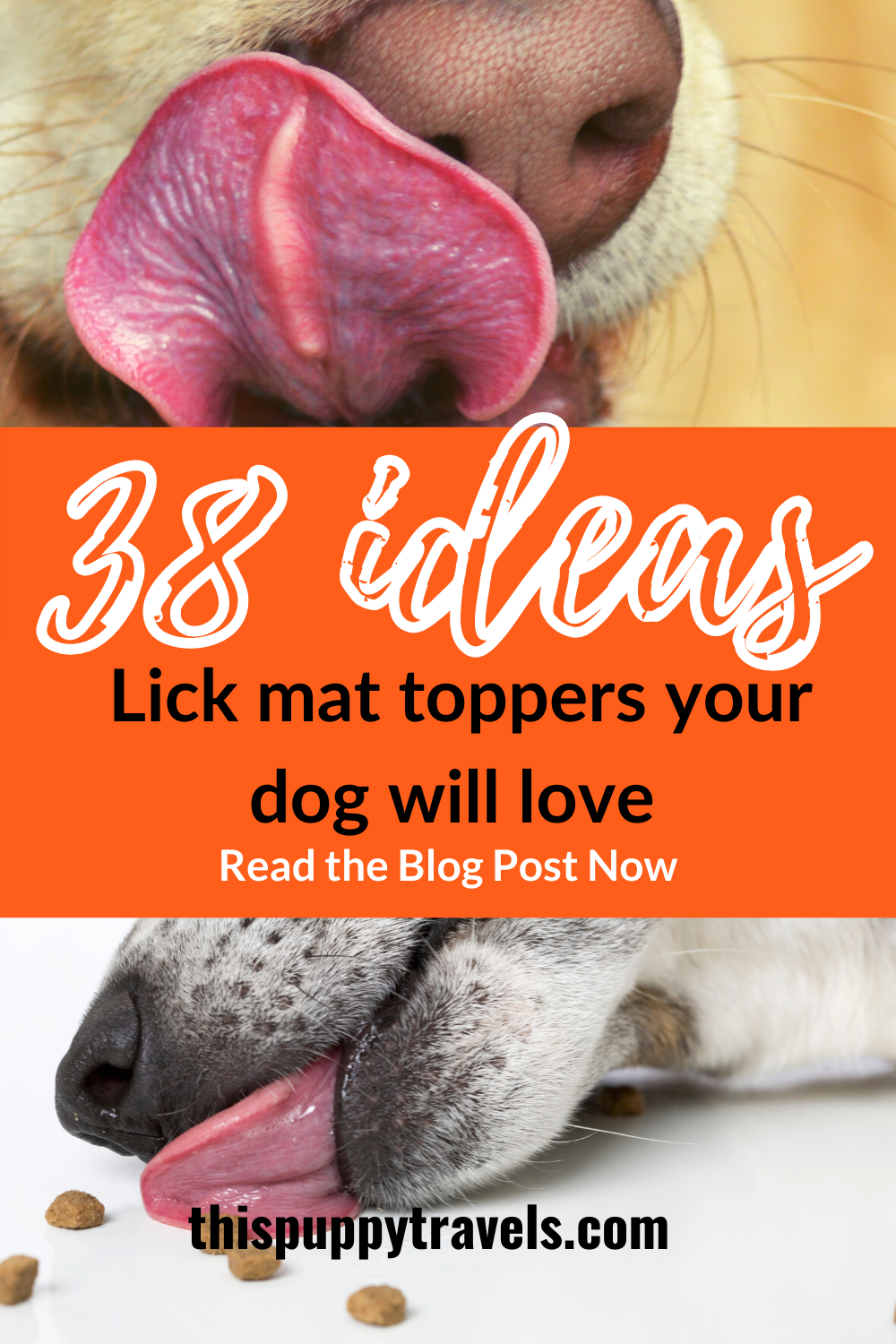 What Are Dog Lick Mats? - Whole Dog Journal
