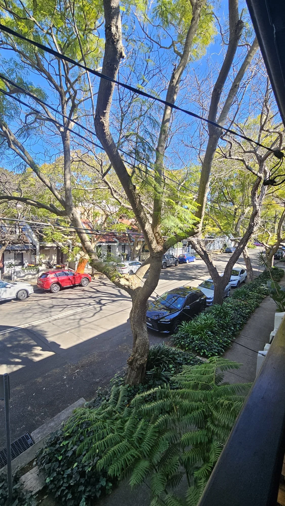 Third Time Lucky: How Walking Away Twice Got Them the Right Redfern Terrace&nbsp;&nbsp;