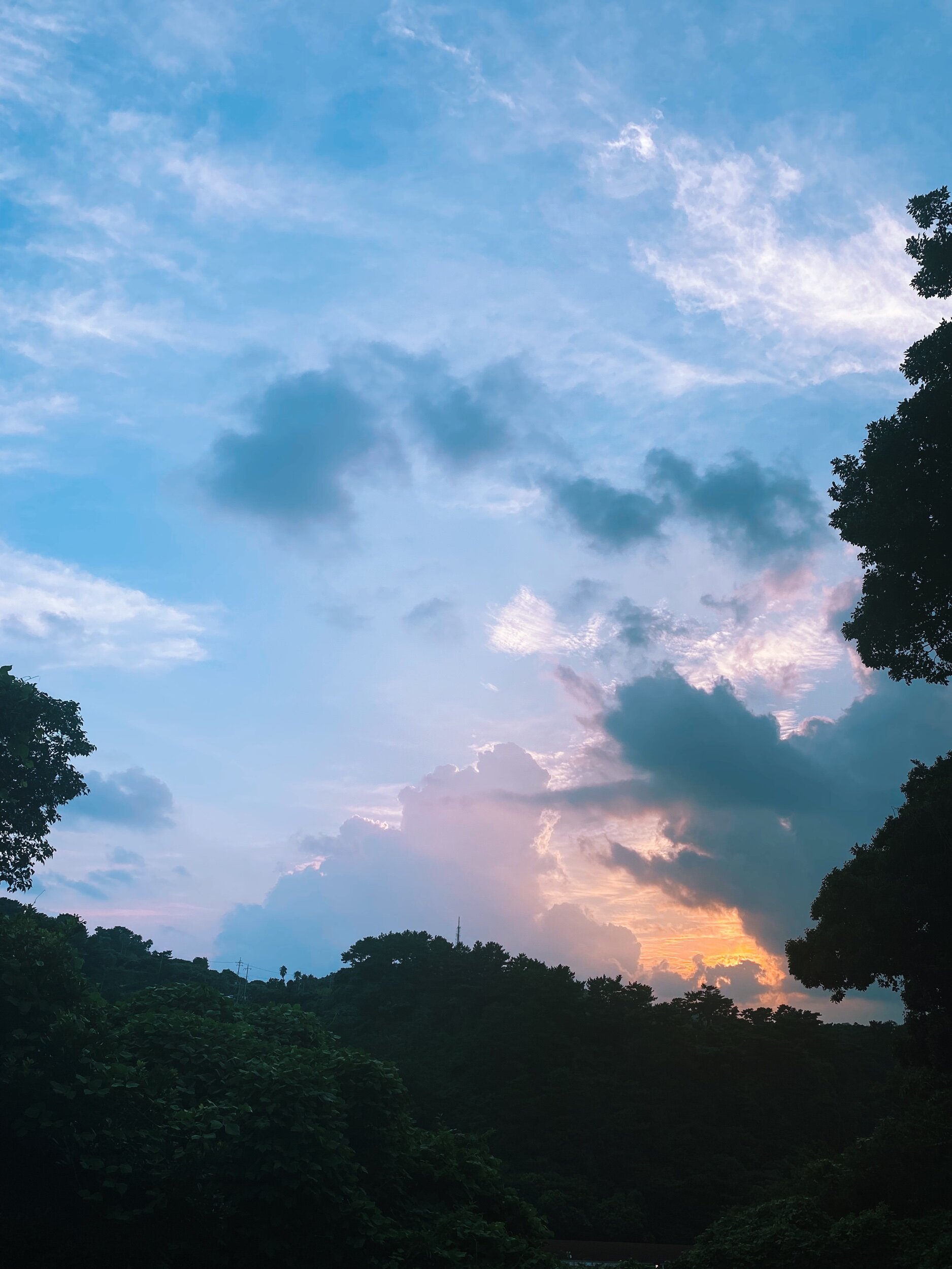 IMG_9632.jpeg