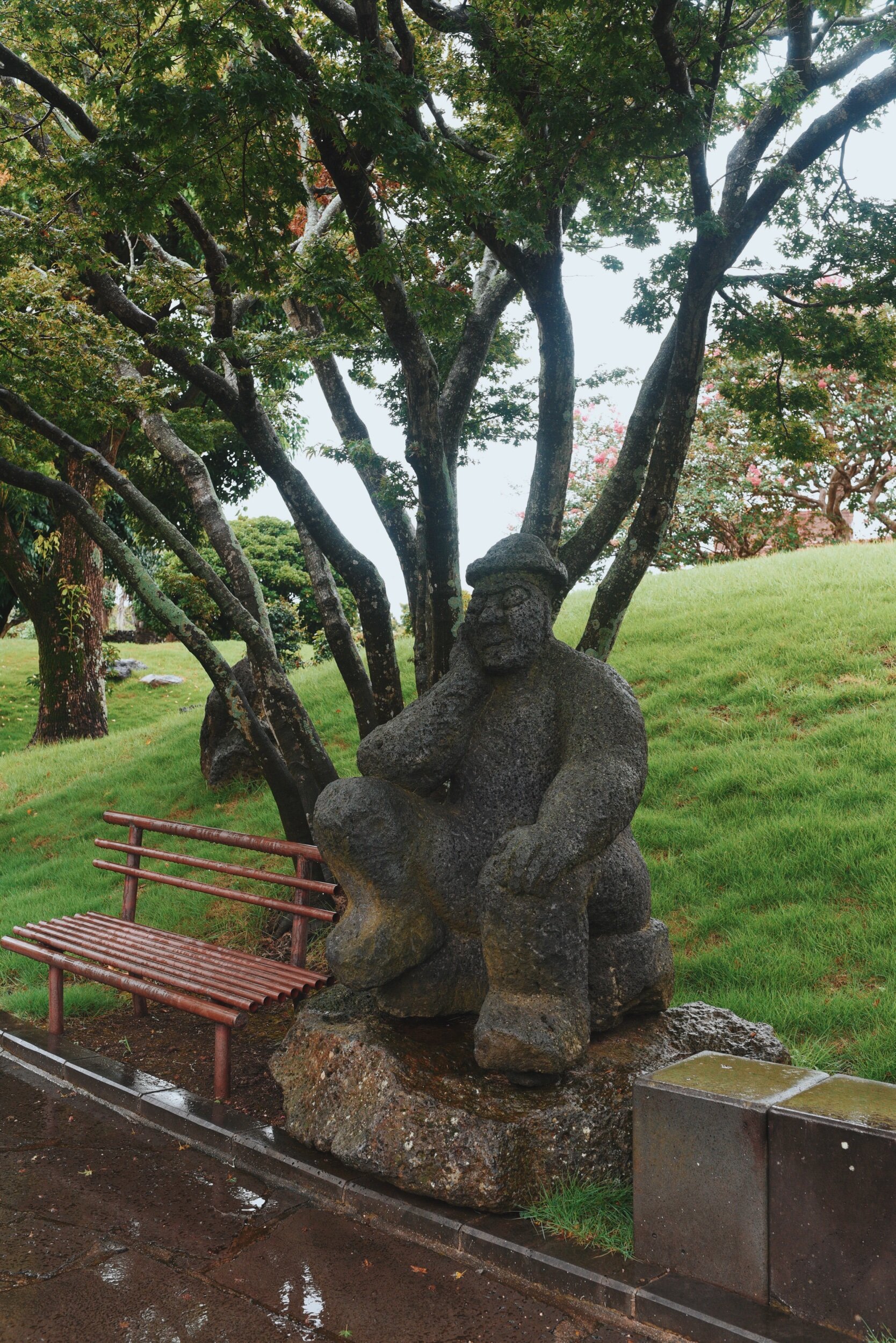 DSC_6409.jpeg