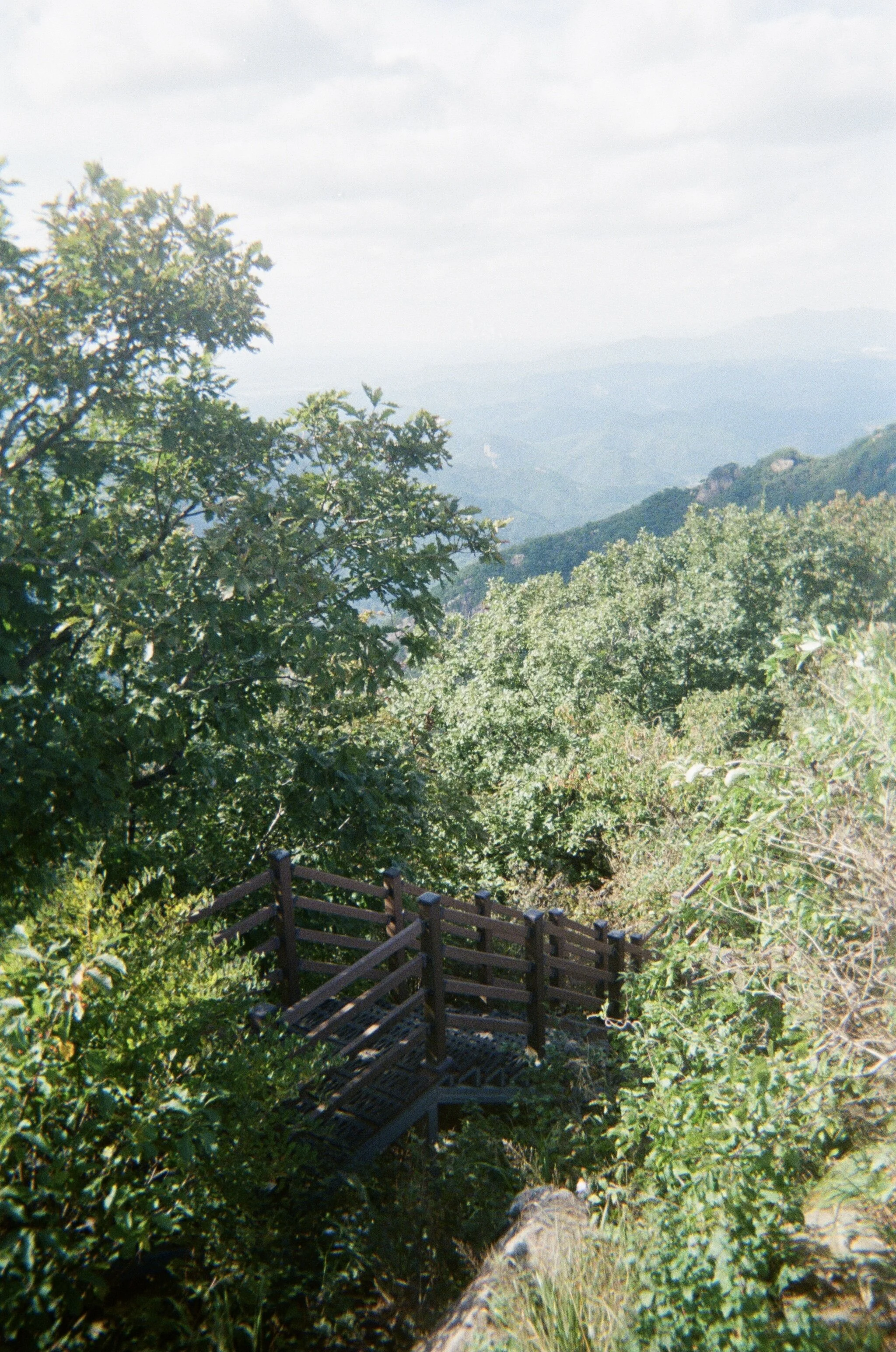 IMG_3999.jpg