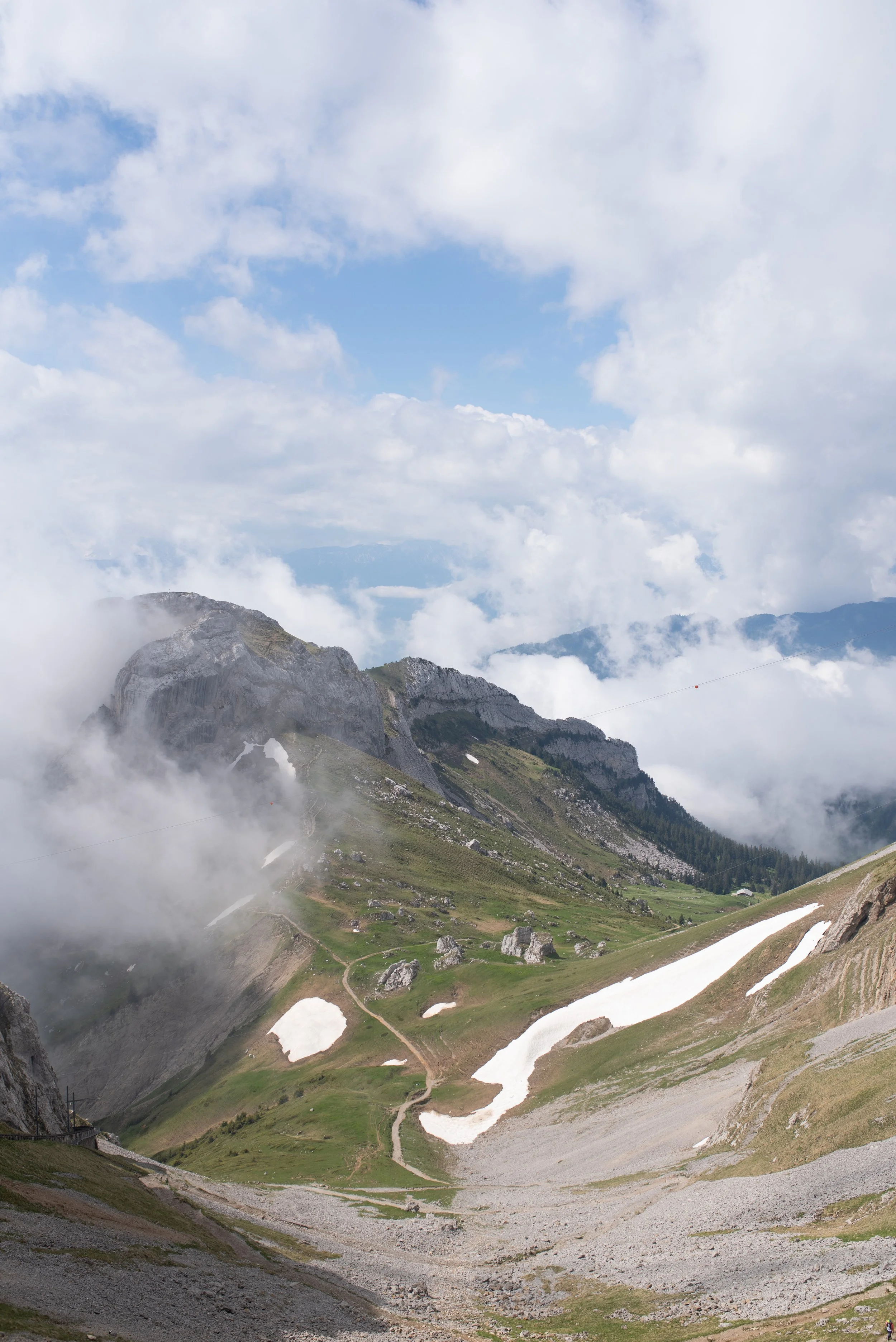 DSC_8746.JPG