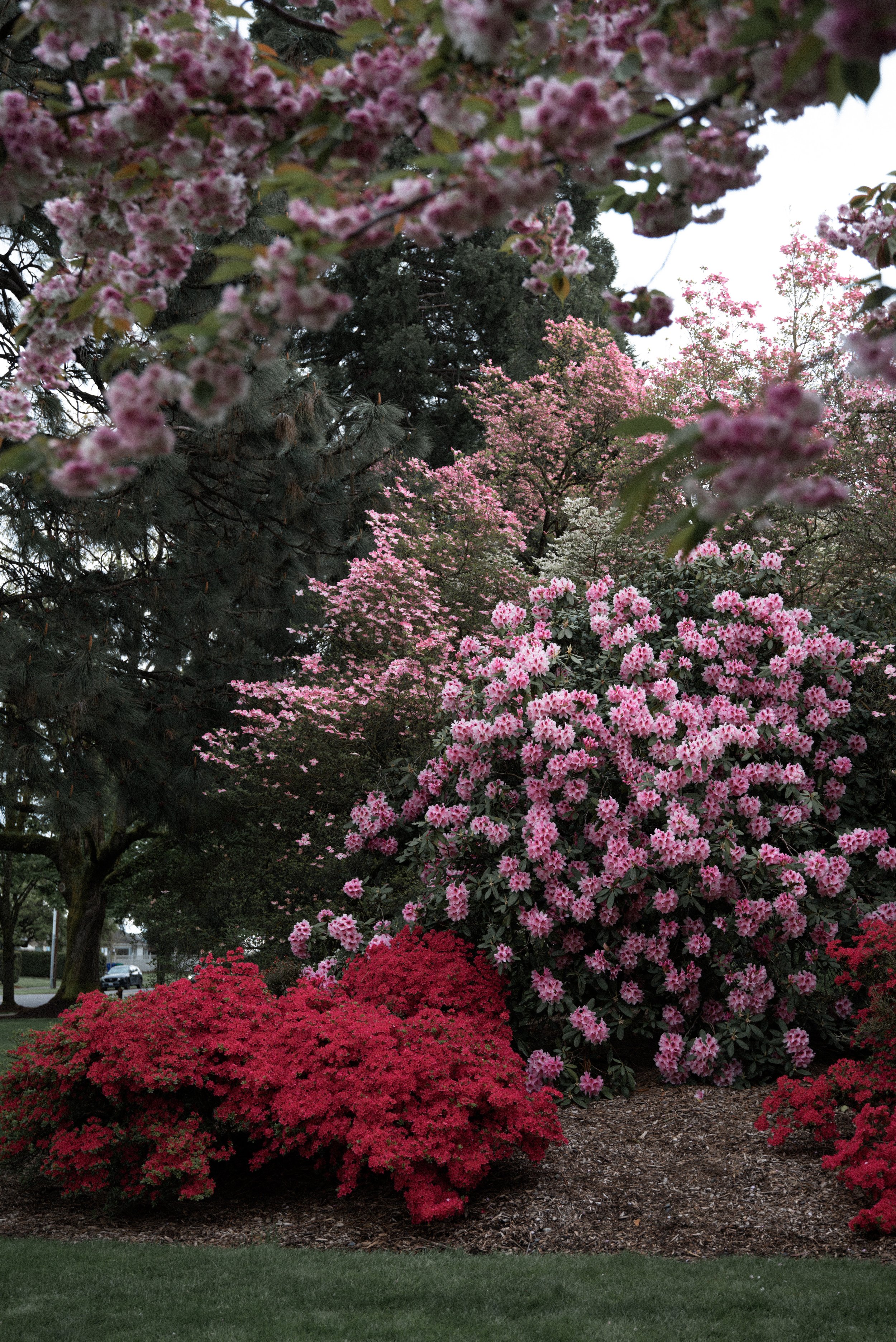 DSC_0154.JPG