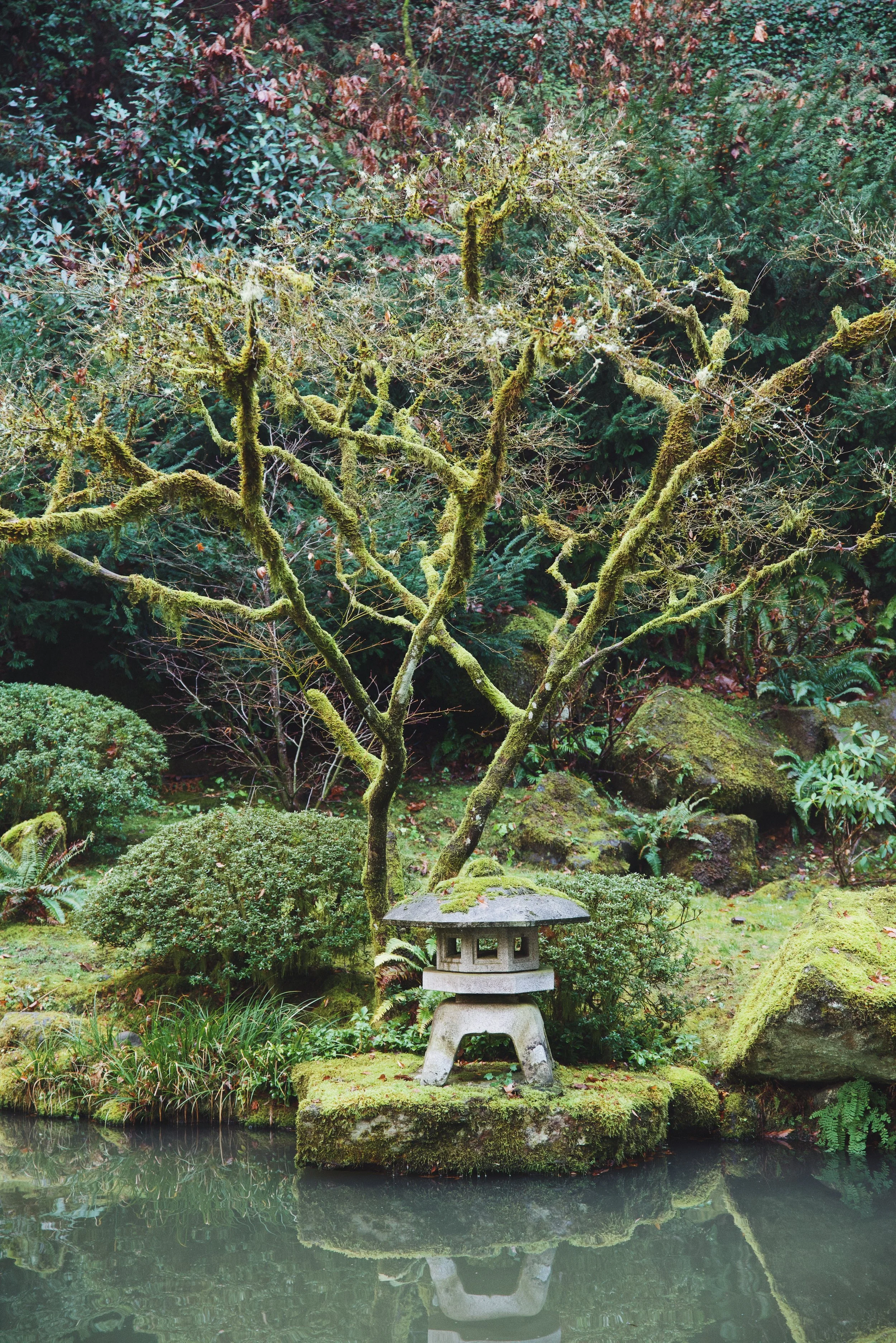 Make the Most of Your Trip to Portland, Oregon