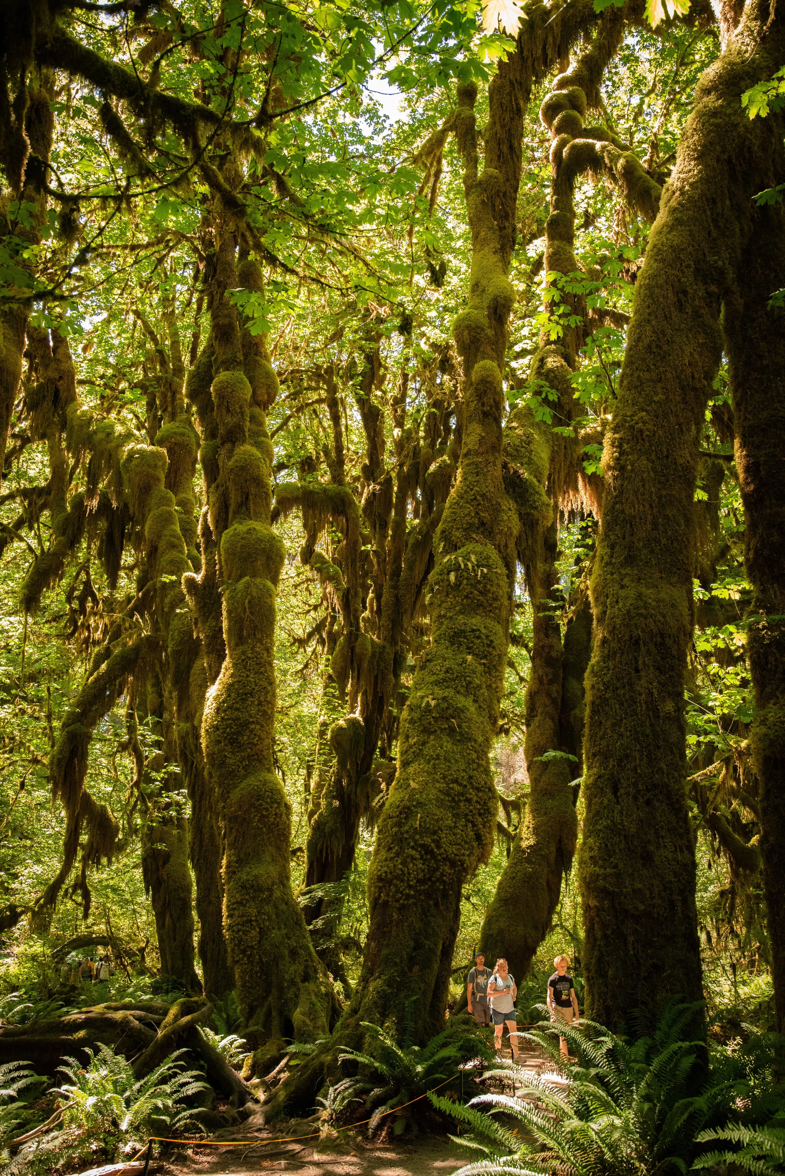 20240728_023151851_iOS (1).jpg