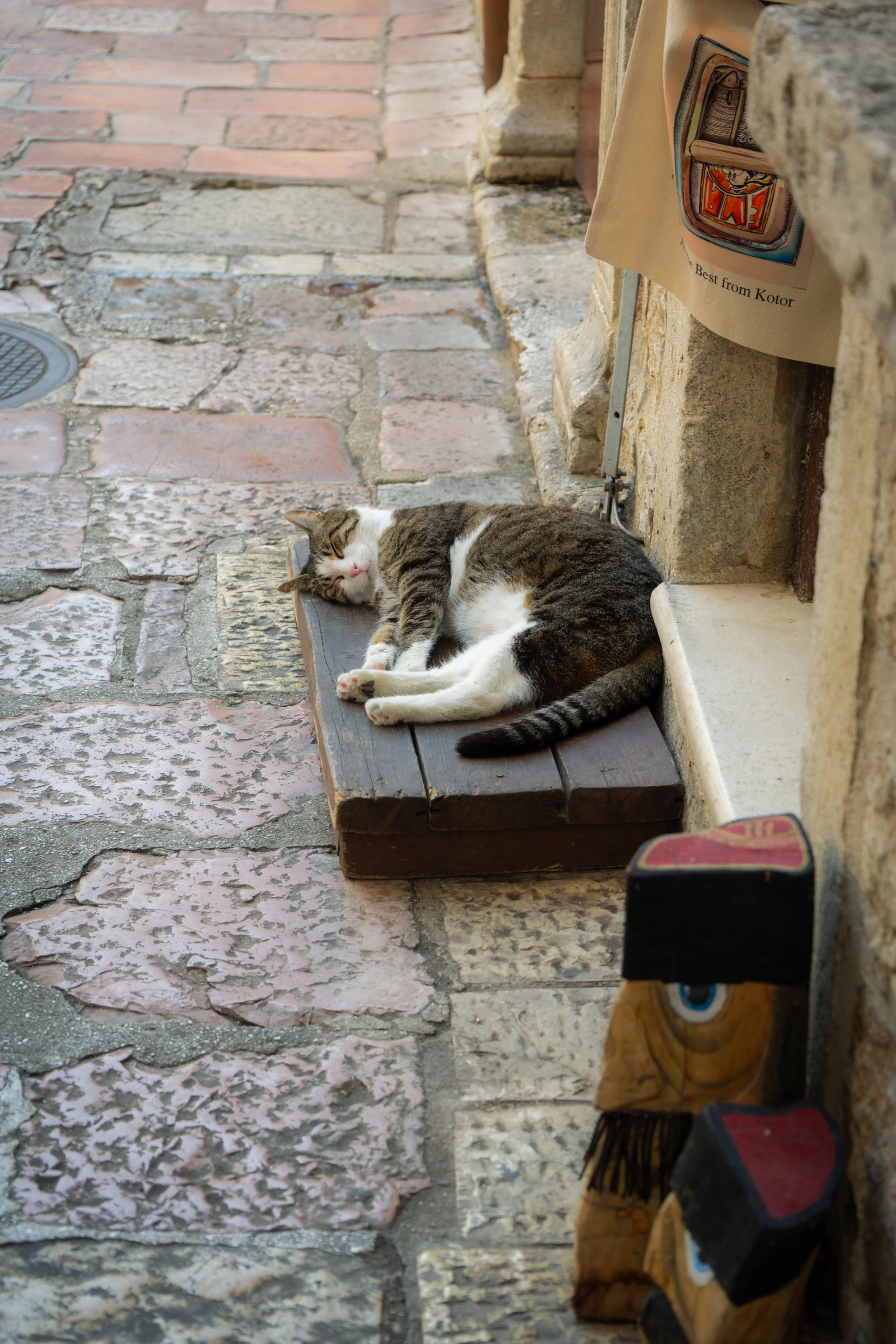 DSC03564.JPG